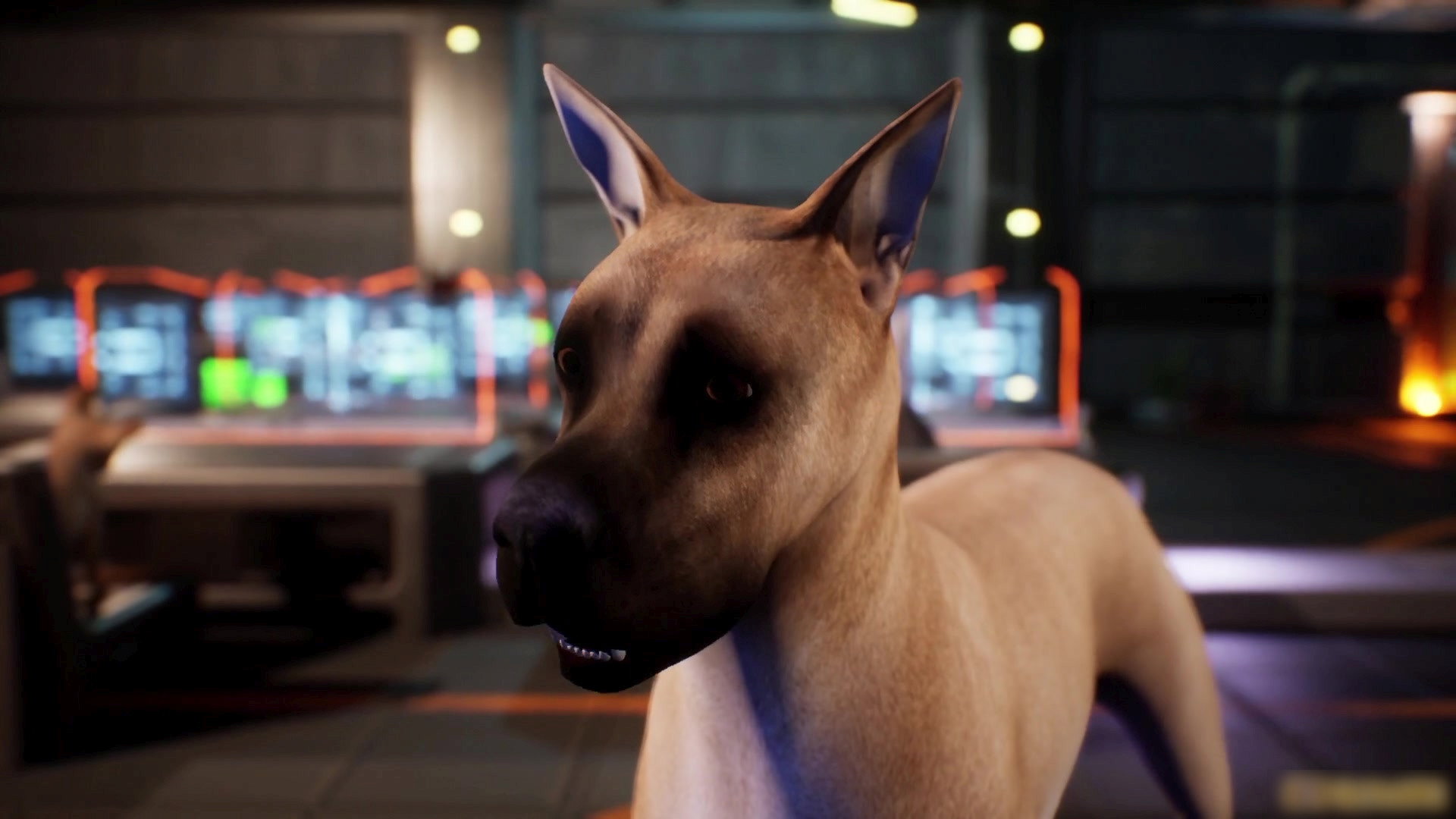 Avenger Dogs's poster