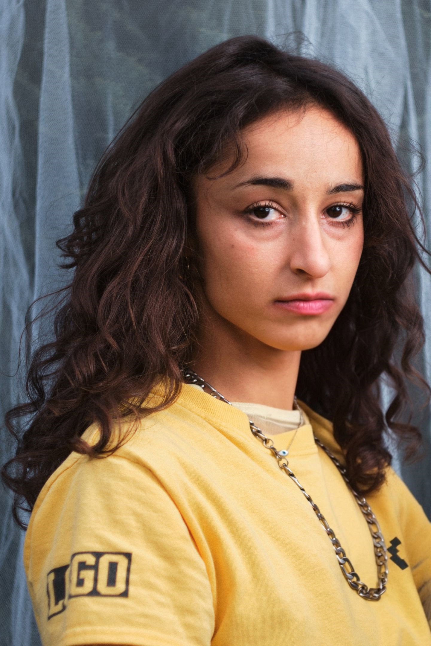 Amanda Babaei Vieira's poster