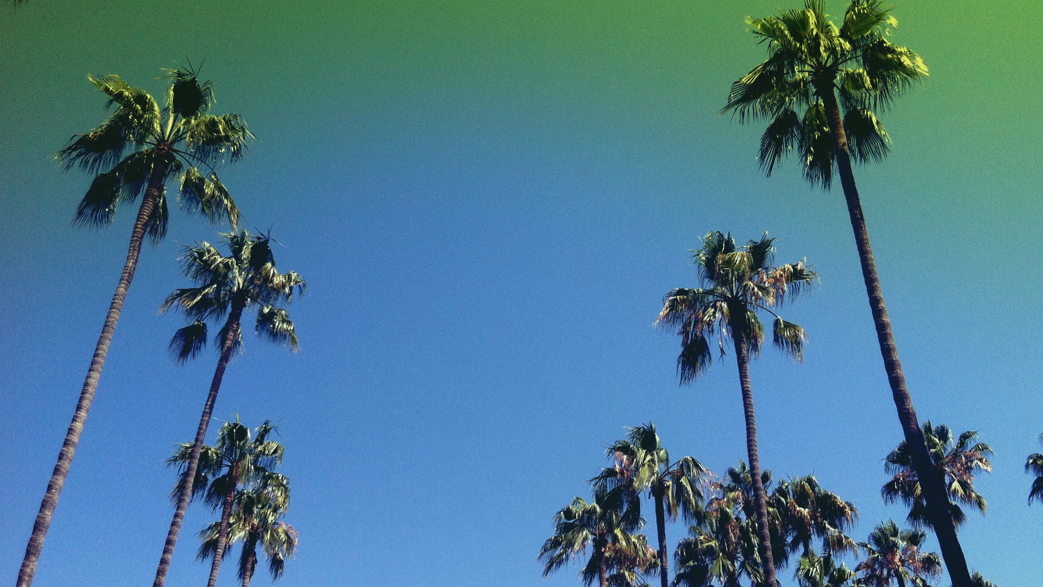 Lost in LA's poster
