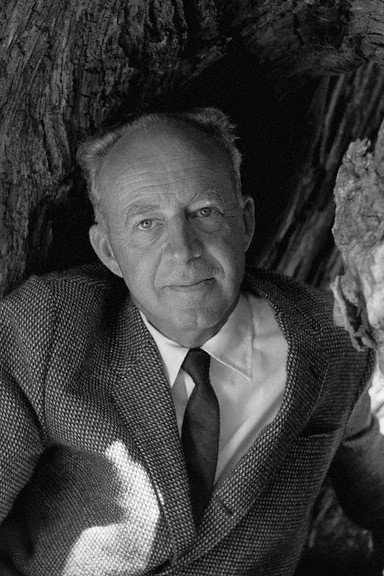 Willard Van Dyke's poster