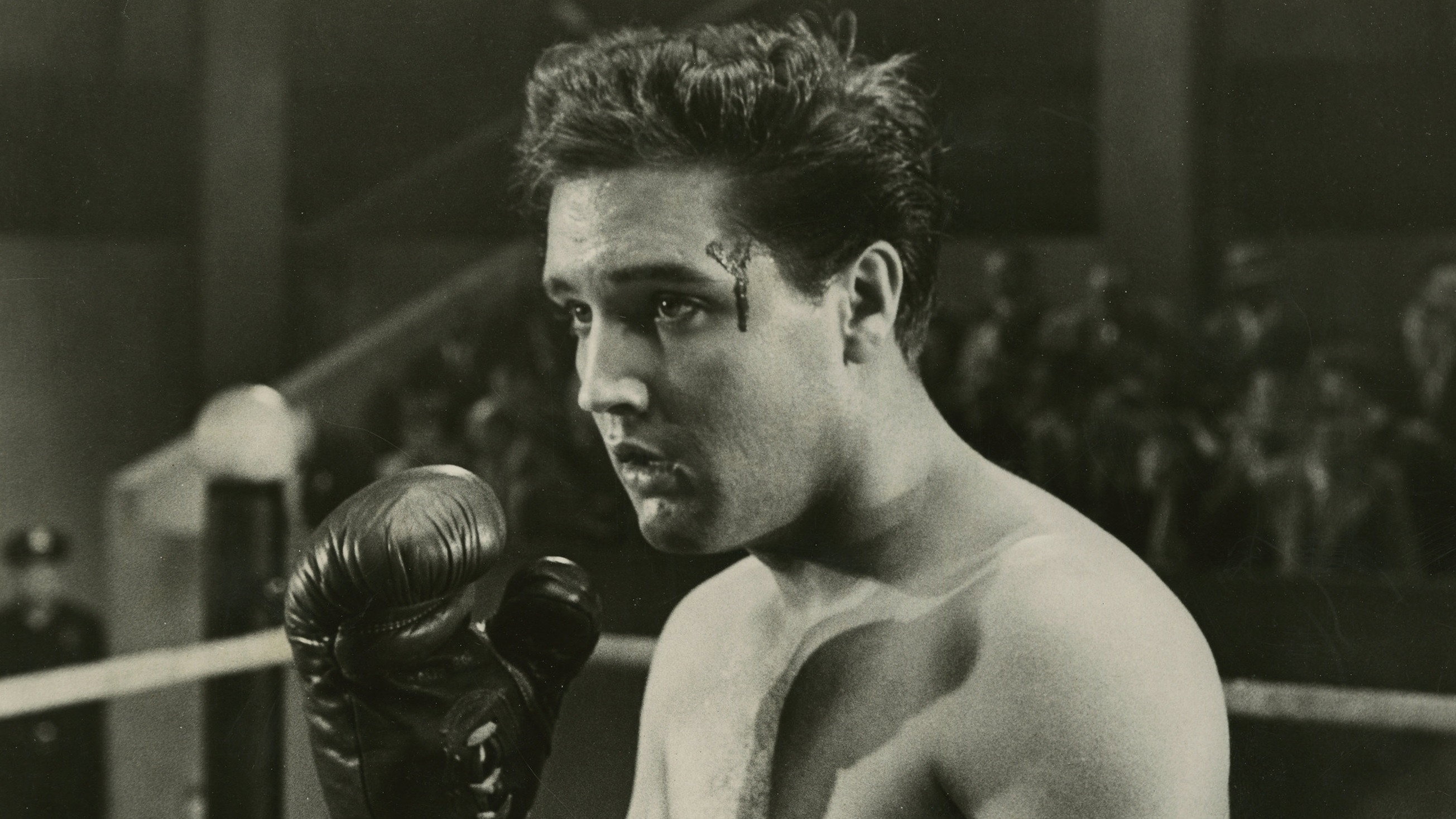 Kid Galahad's poster