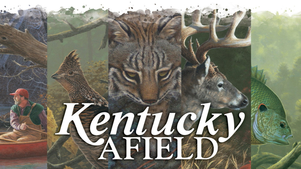 Kentucky Afield's poster