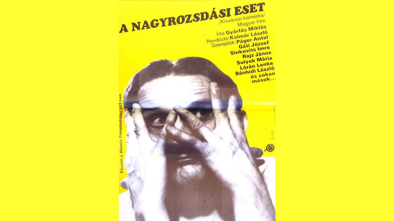 A Remarkable Case's poster