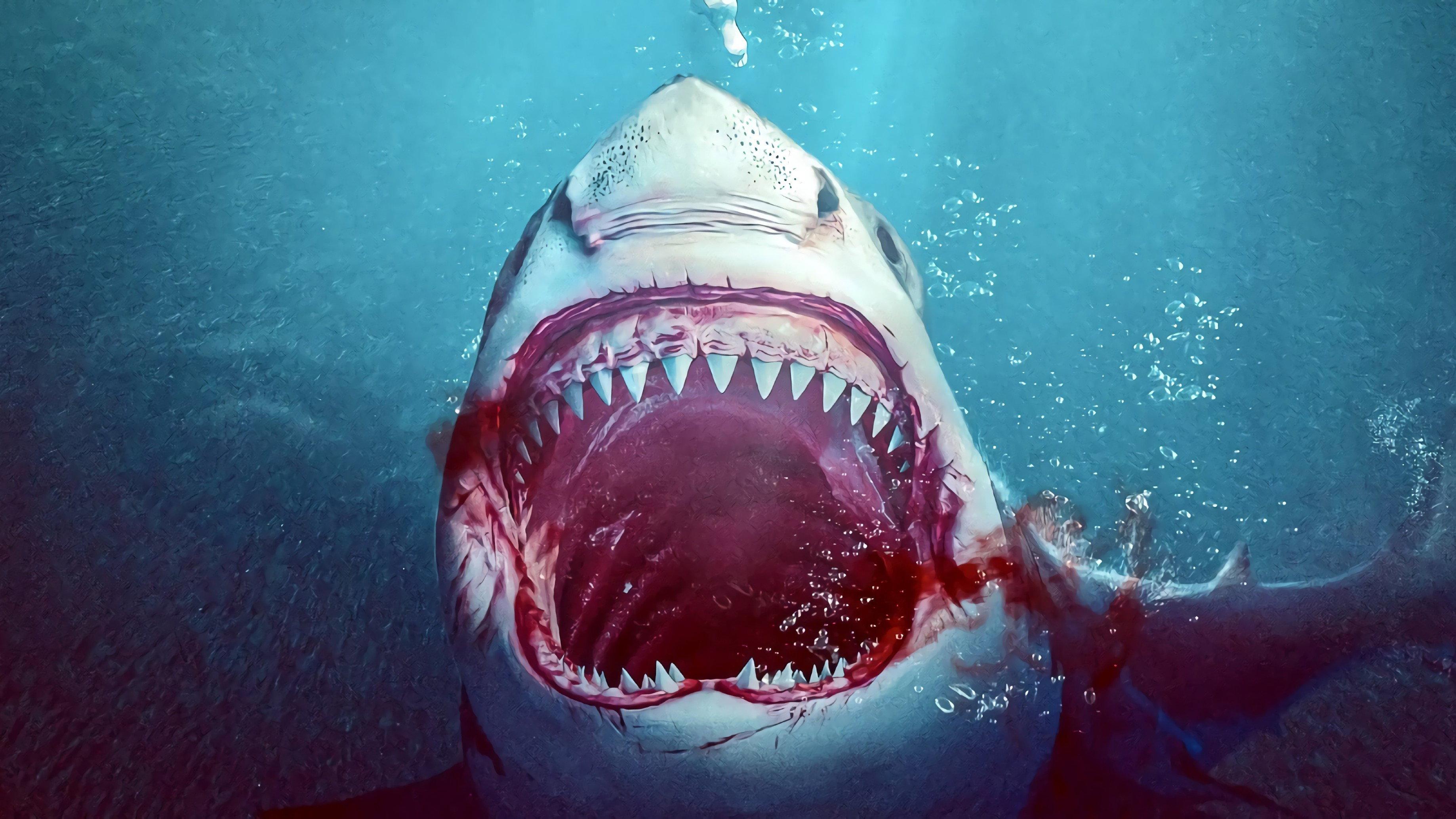 Bull Shark's poster