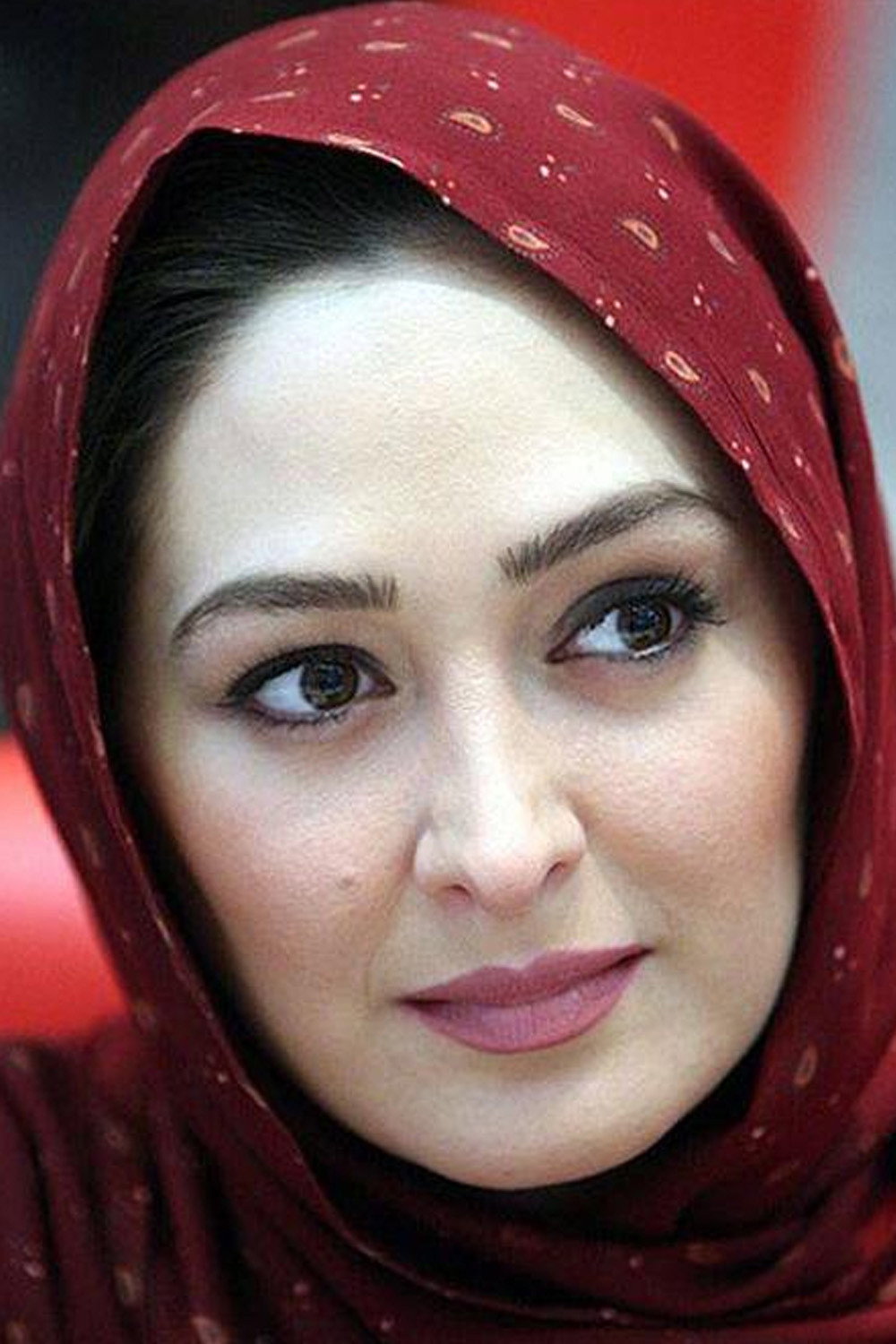Elham Hamidi's poster