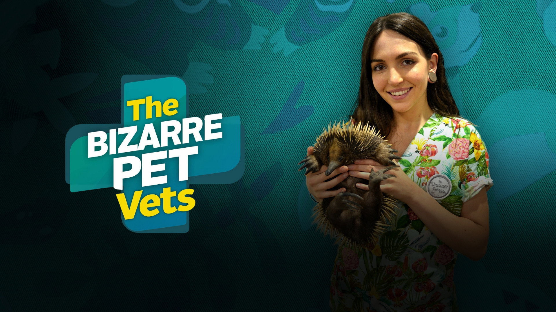 The Bizarre Pet Vets's poster