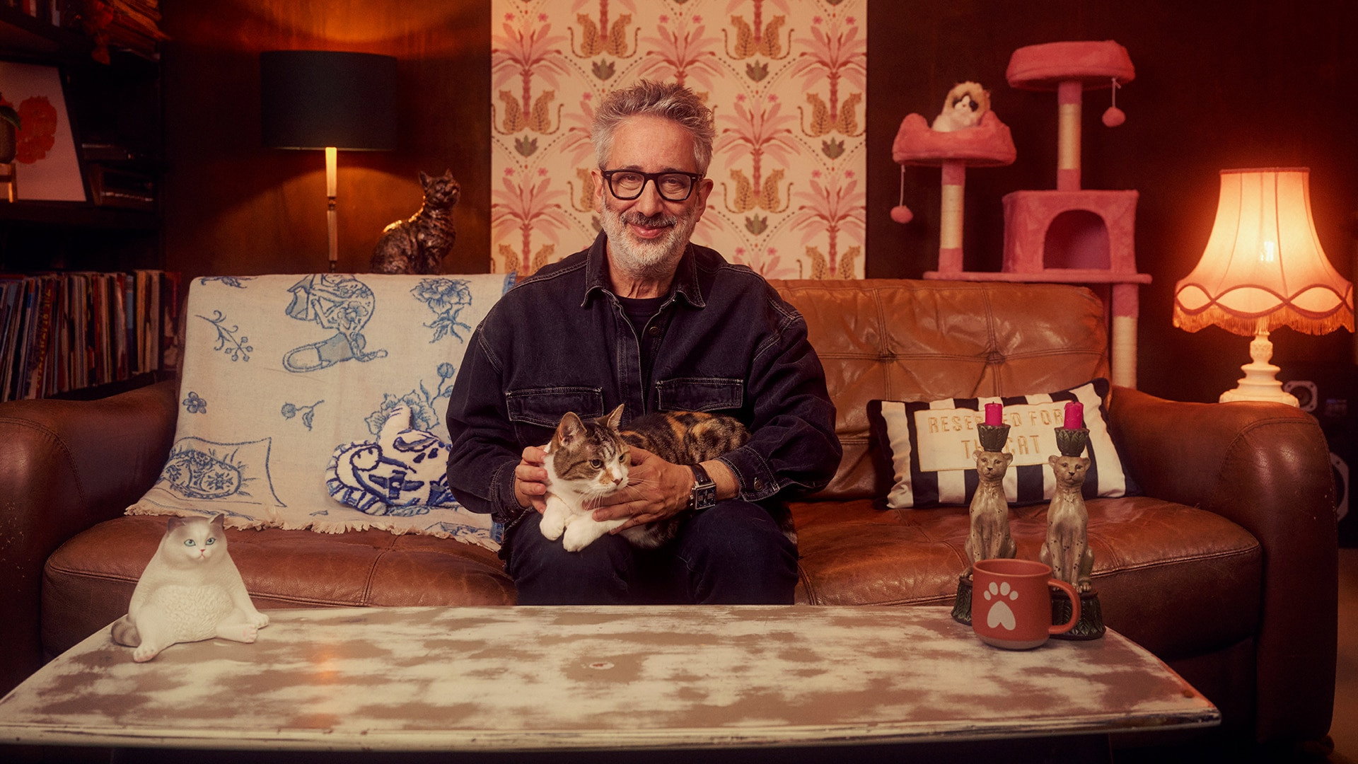 David Baddiel: Cat Man's poster