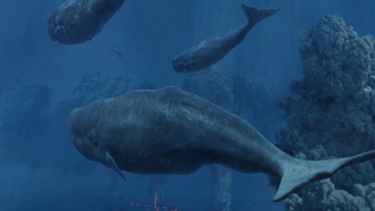 Tim Haines Deep Ocean's poster