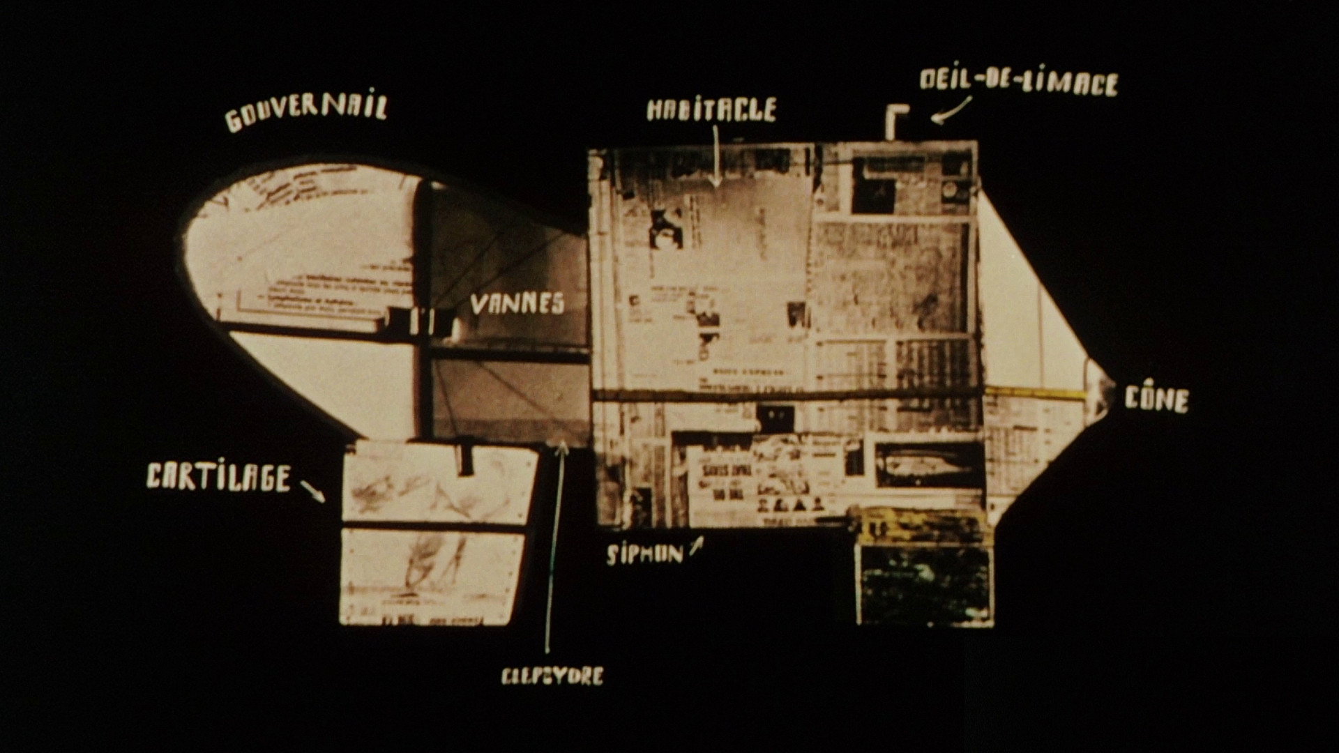 The Astronauts's poster