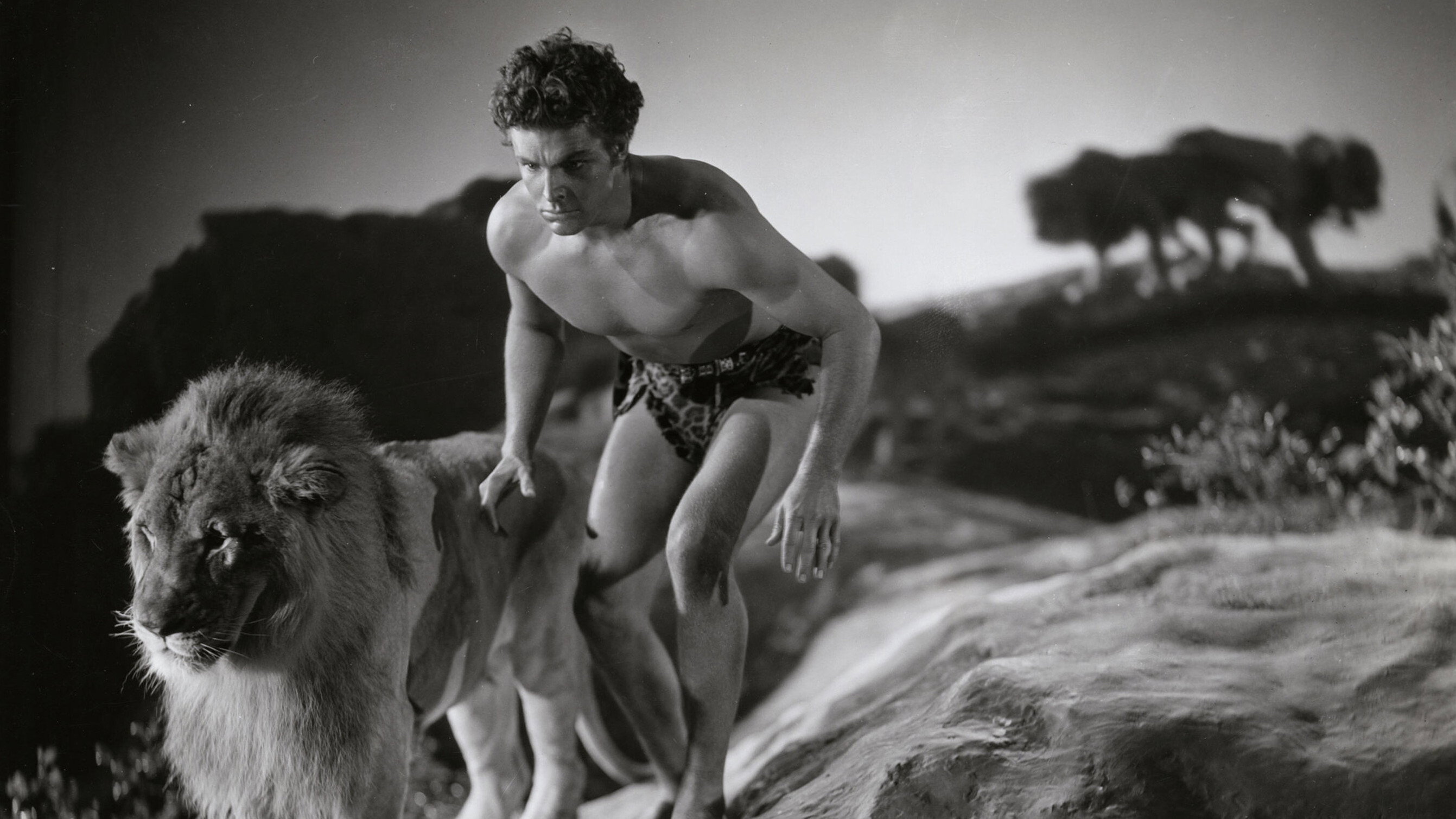 King of the Jungle's poster