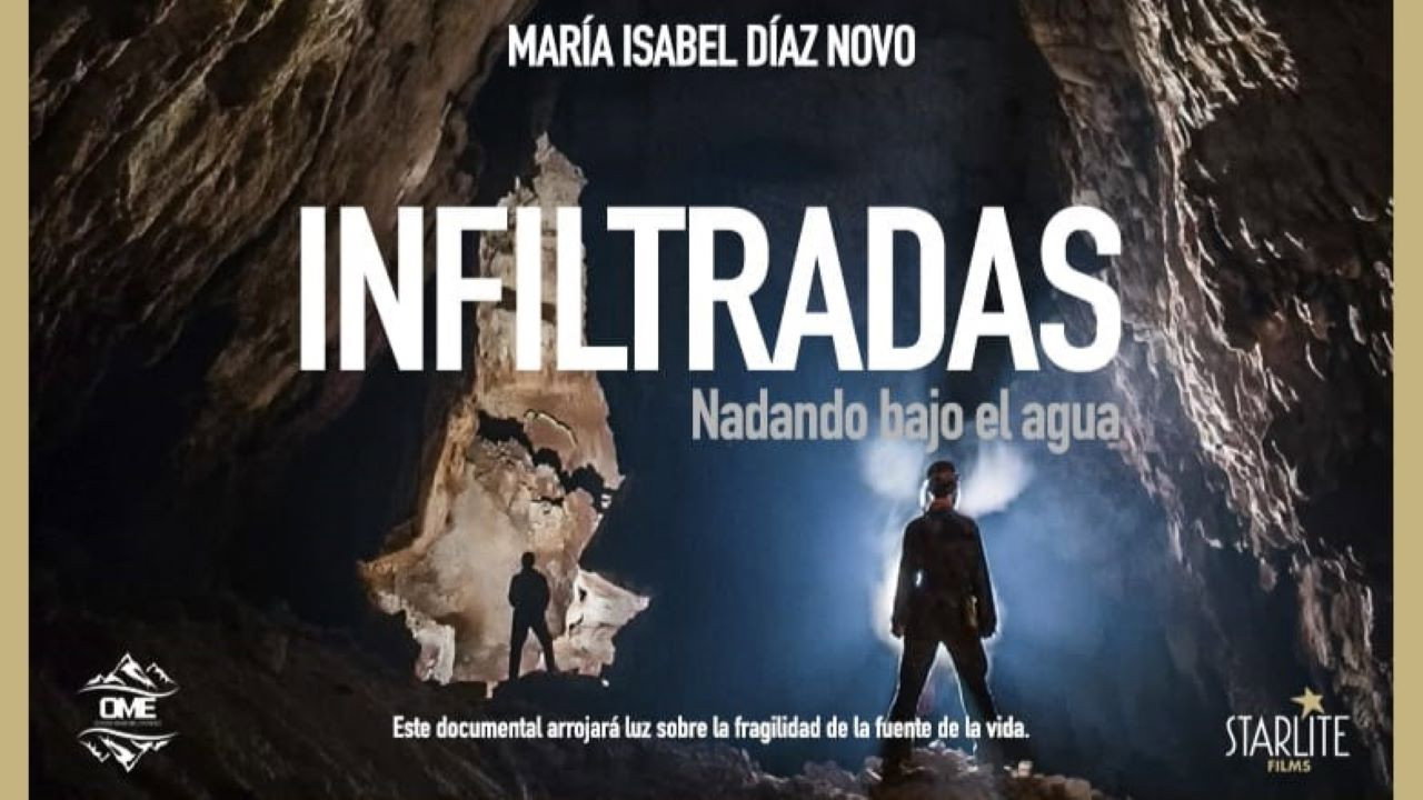 Infiltradas's poster