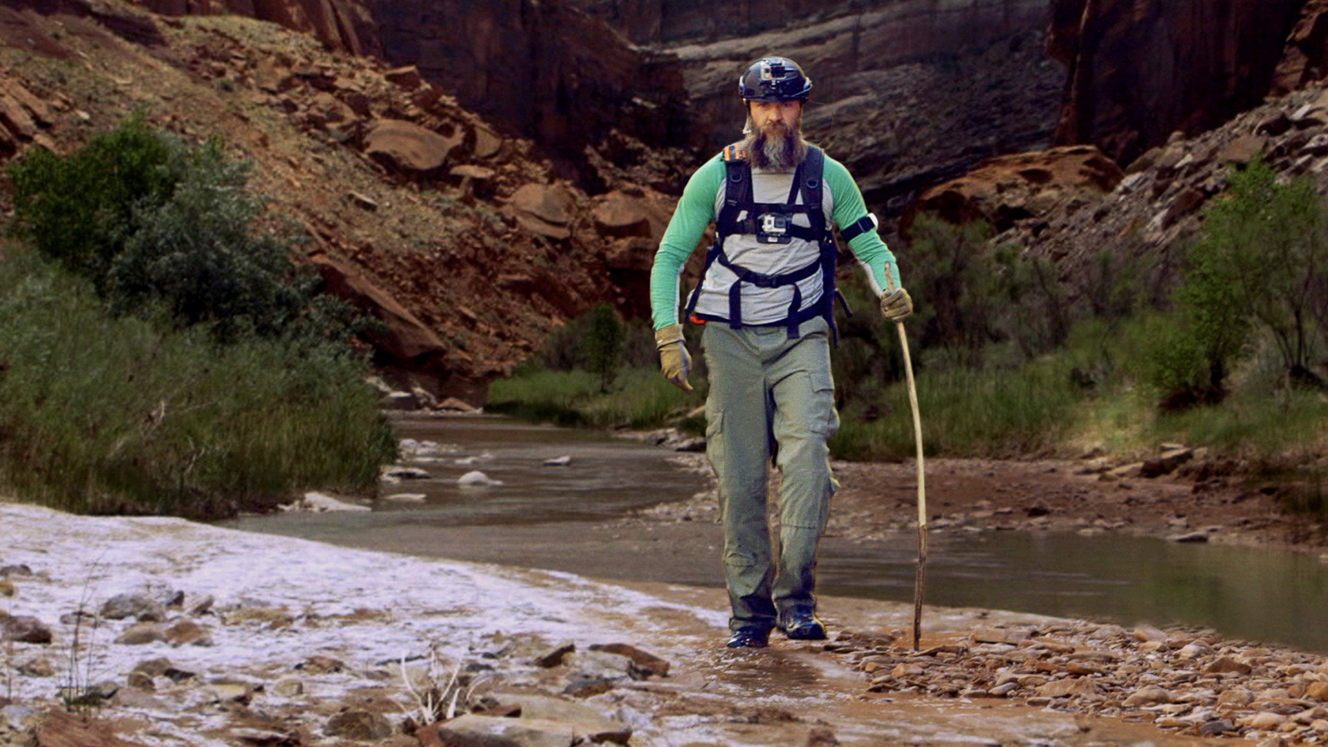 Remote Survival's poster