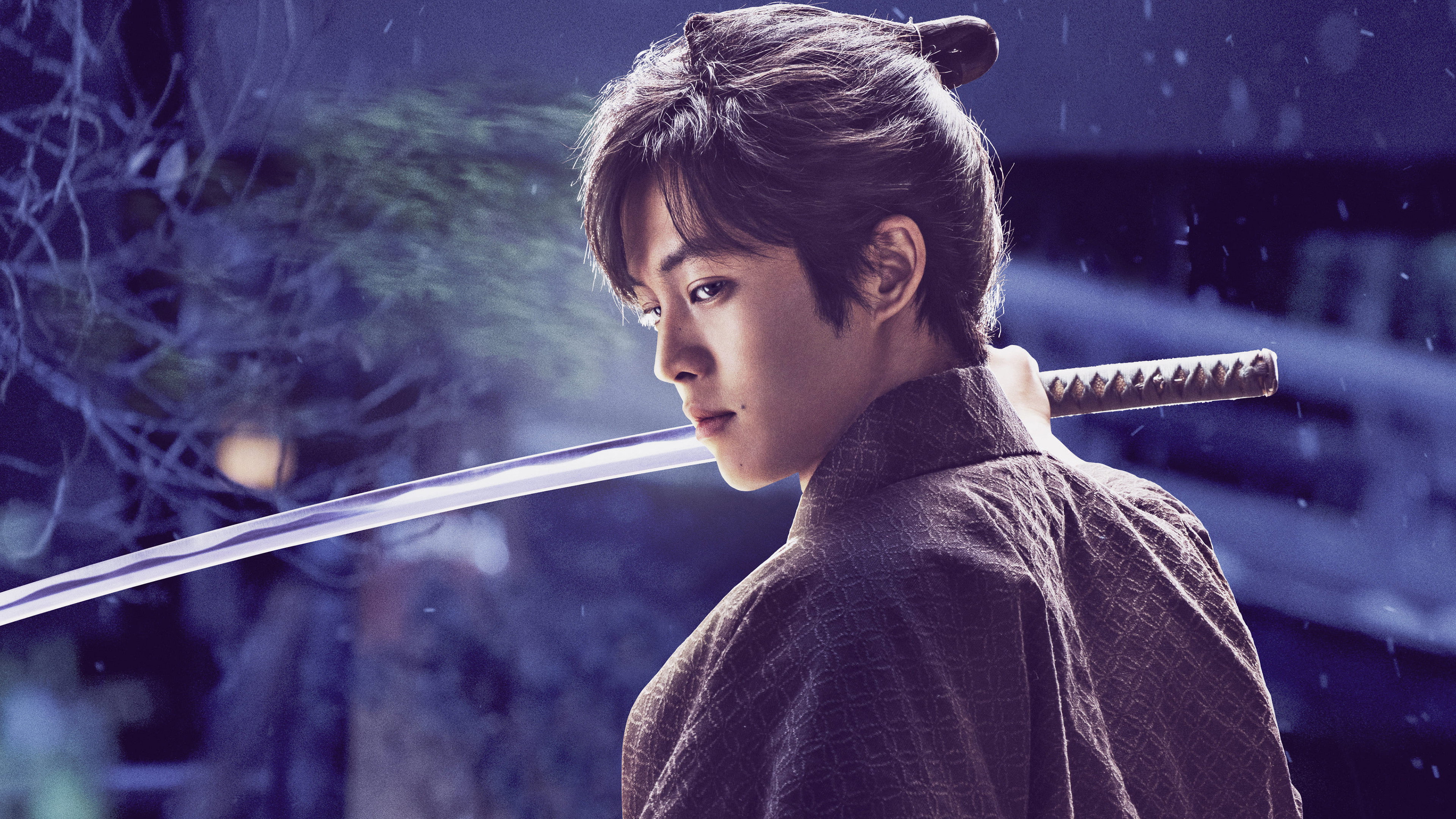 Iwane: Sword of Serenity's poster