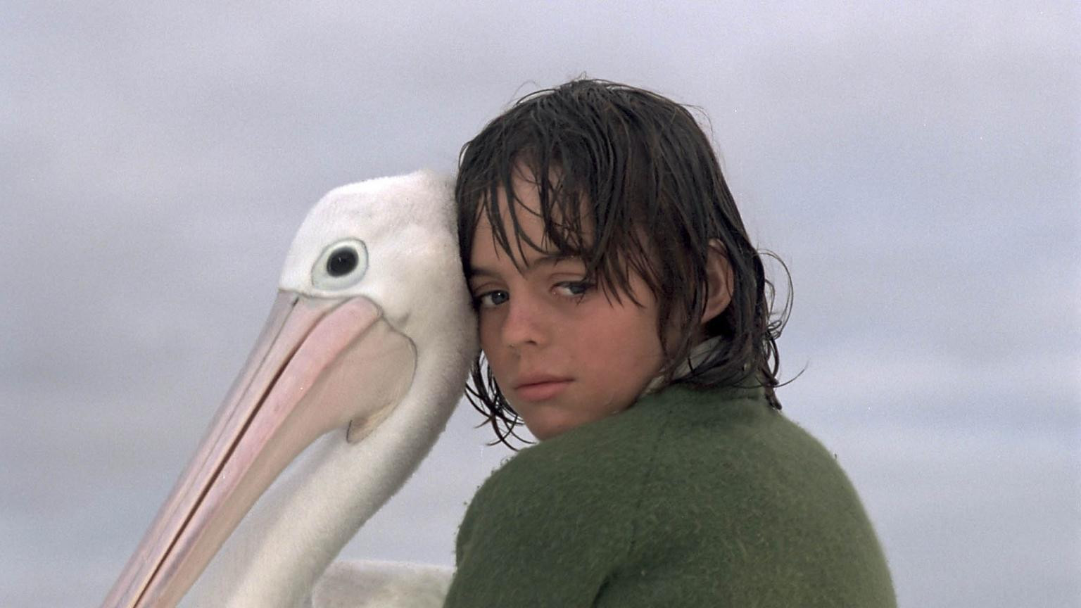 Storm Boy's poster