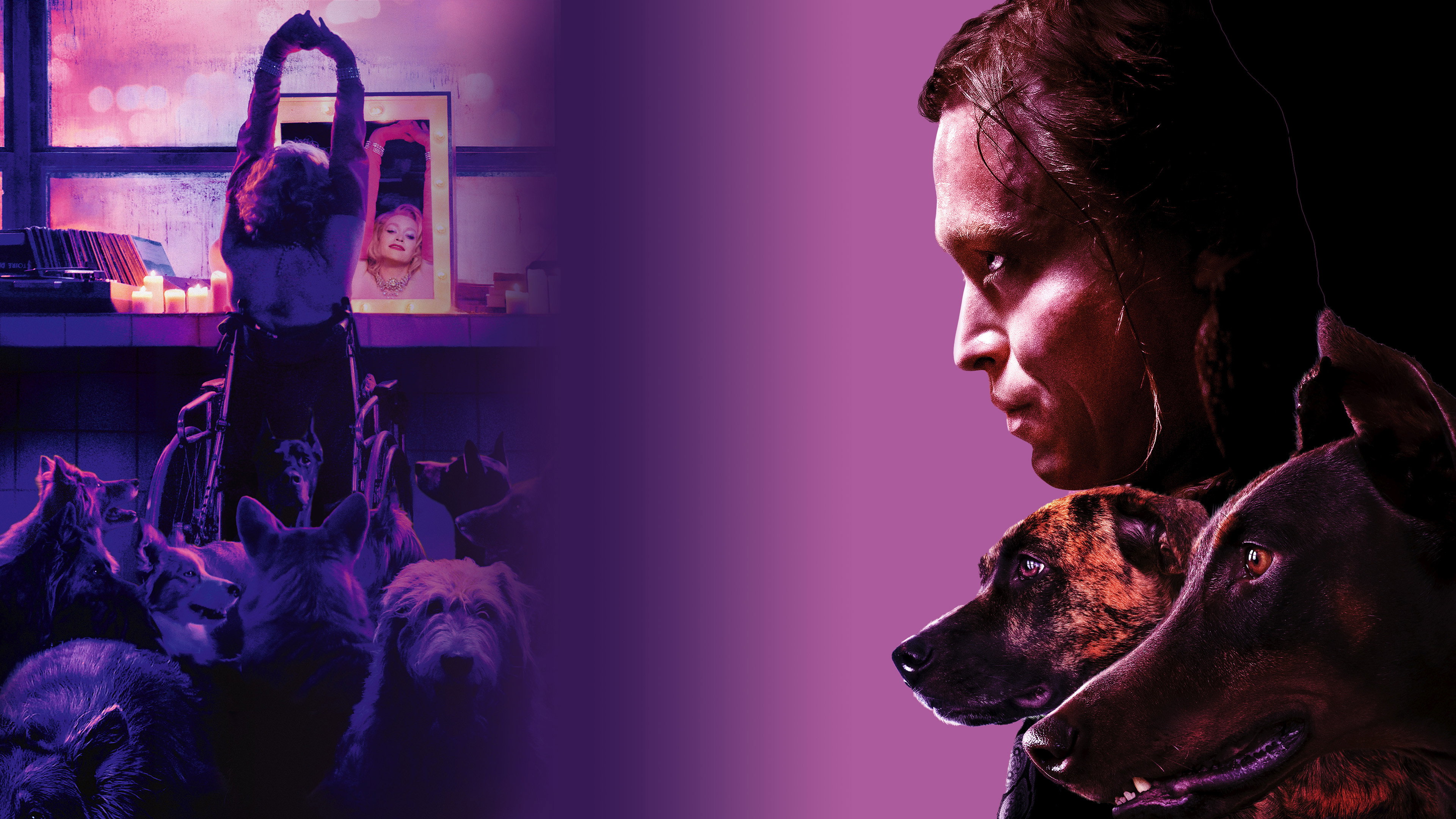 Dogman's poster