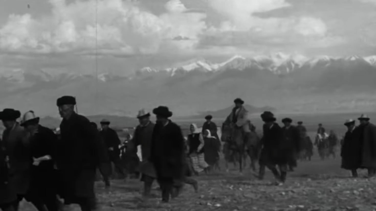 Mother's Field's poster