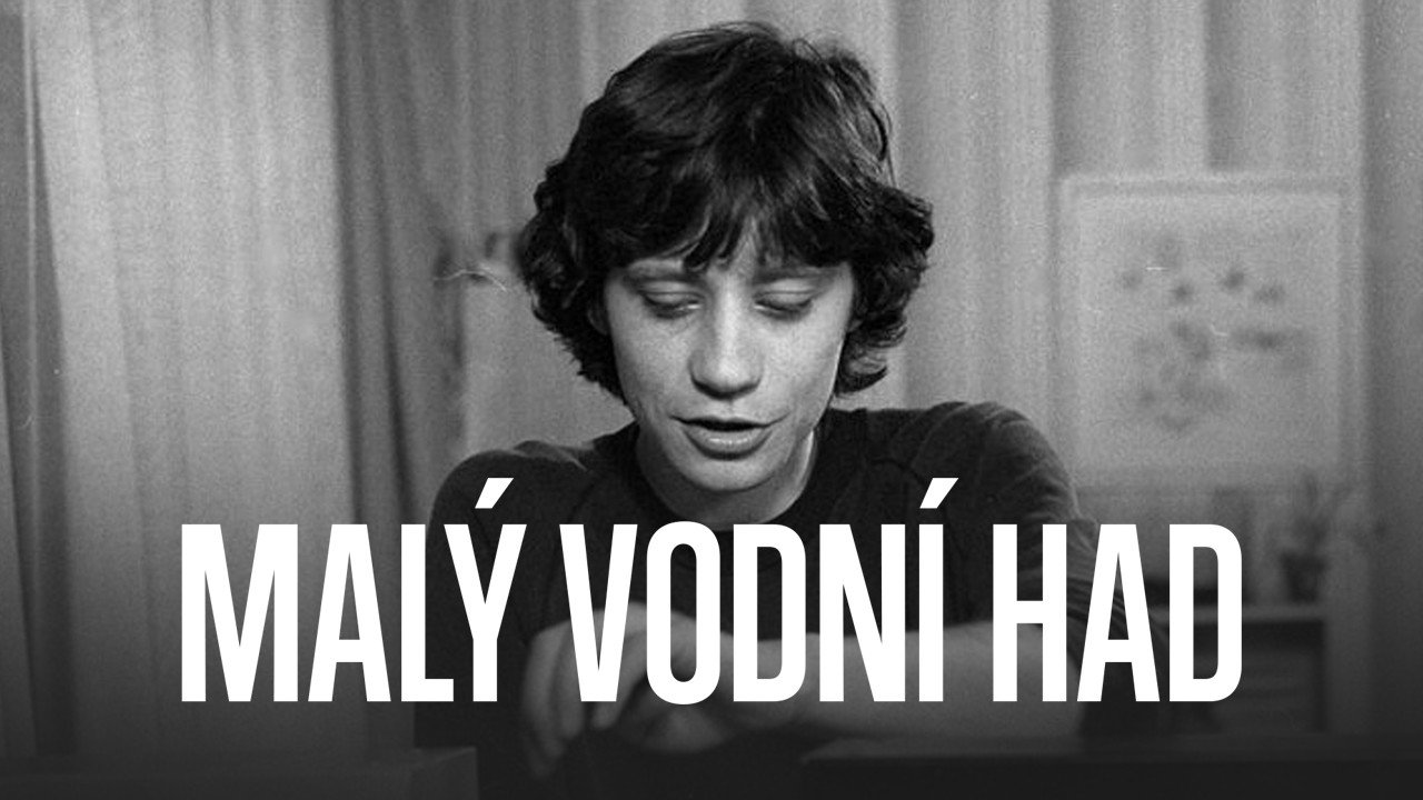 Malý vodní had's poster