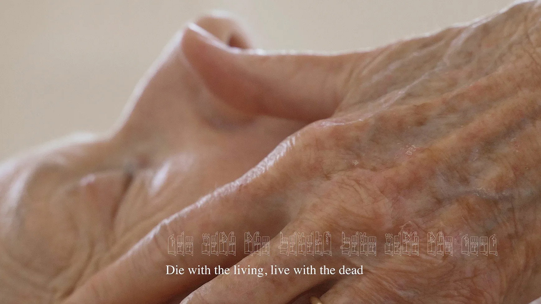 Skin's poster
