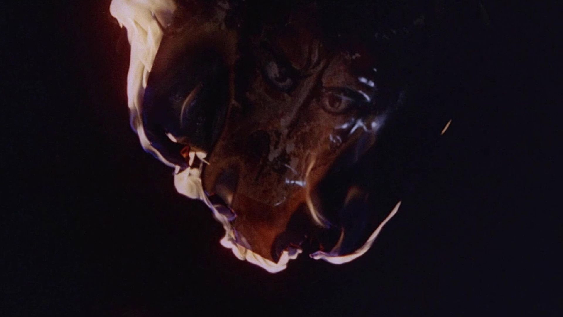 The Dead Are Alive's poster