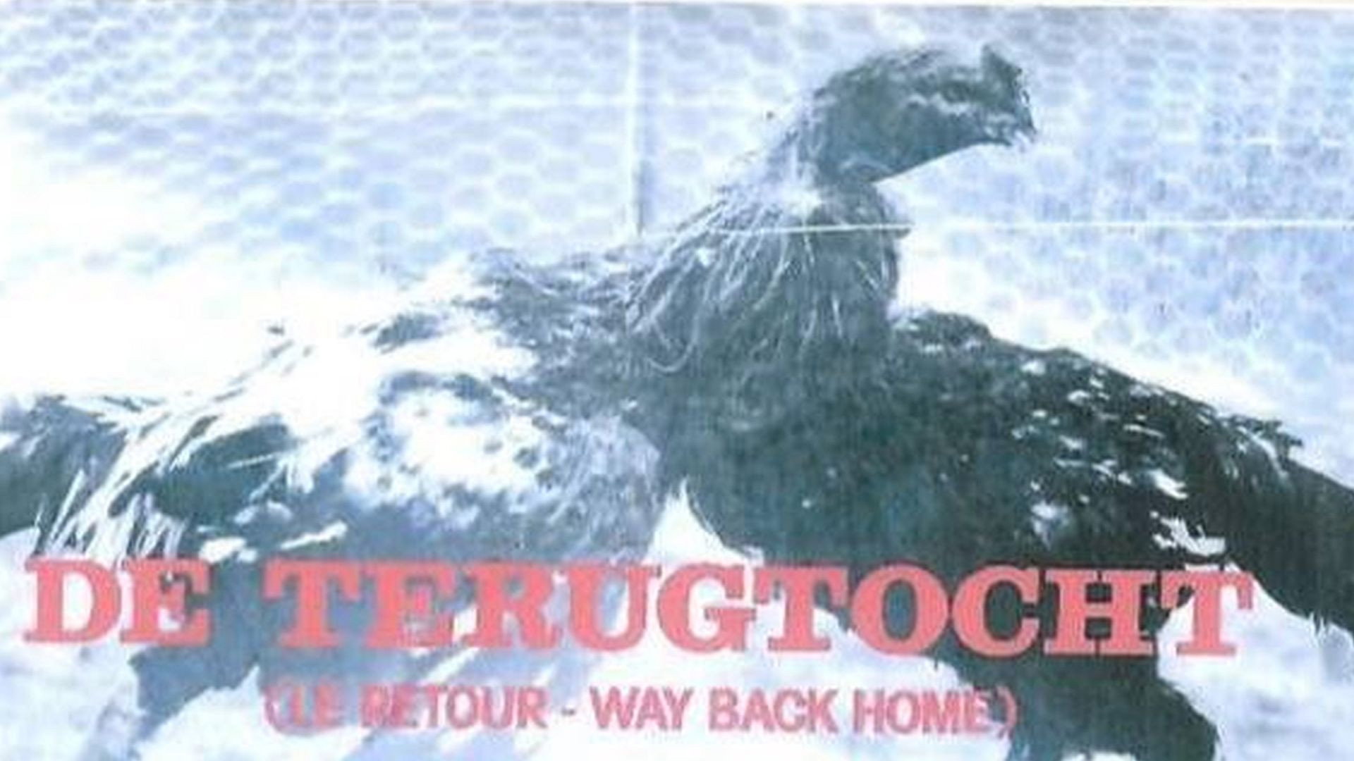 De Terugtocht's poster