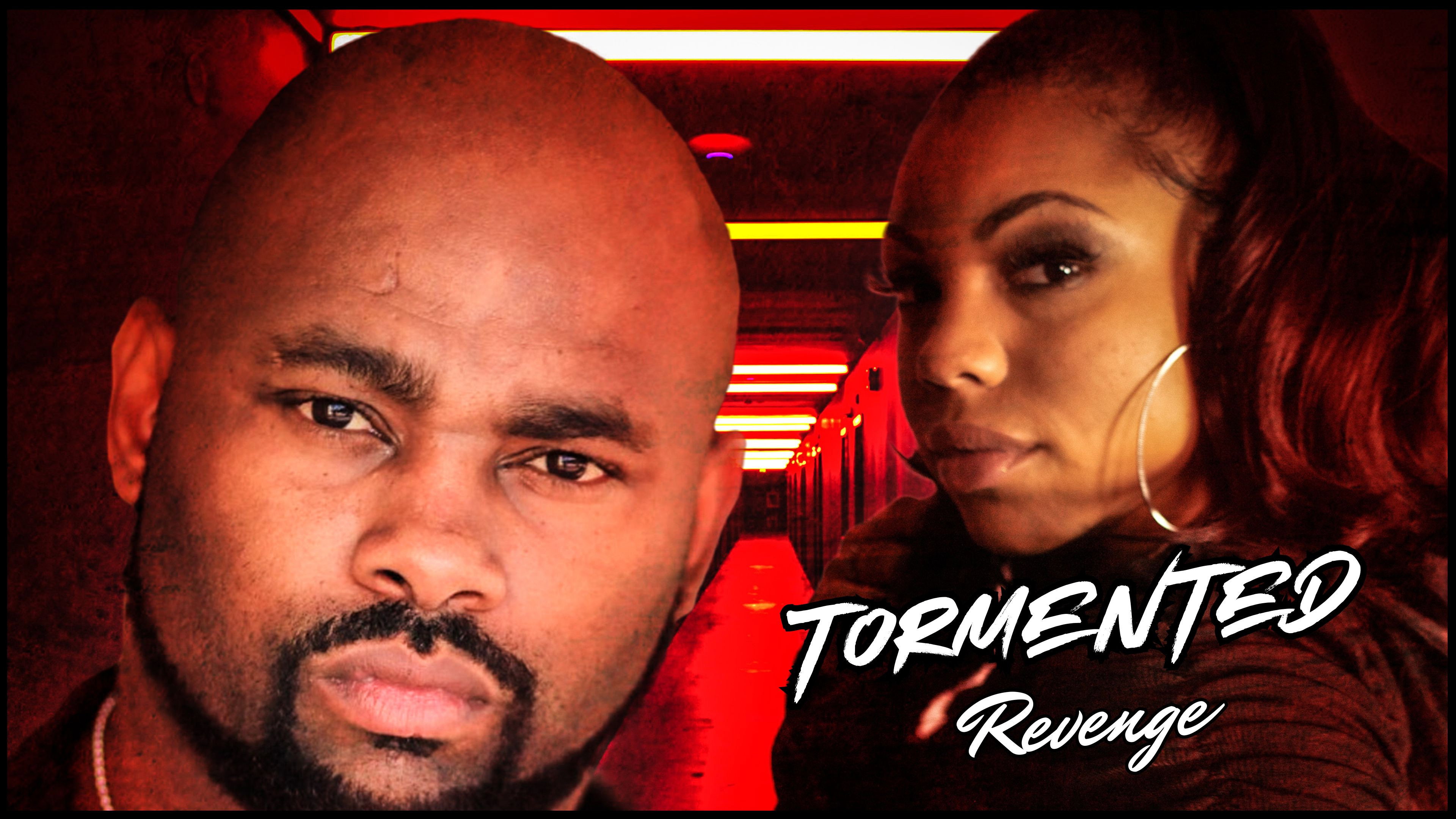Tormented Revenge's poster