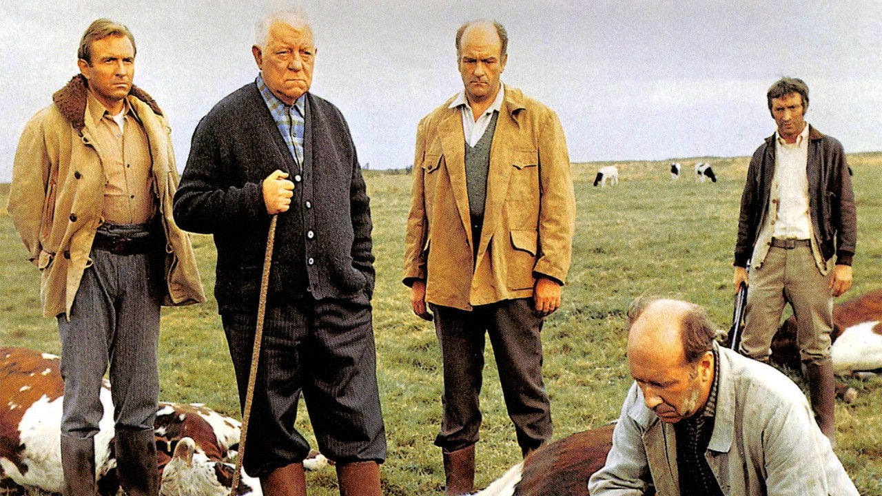 The Horse's poster
