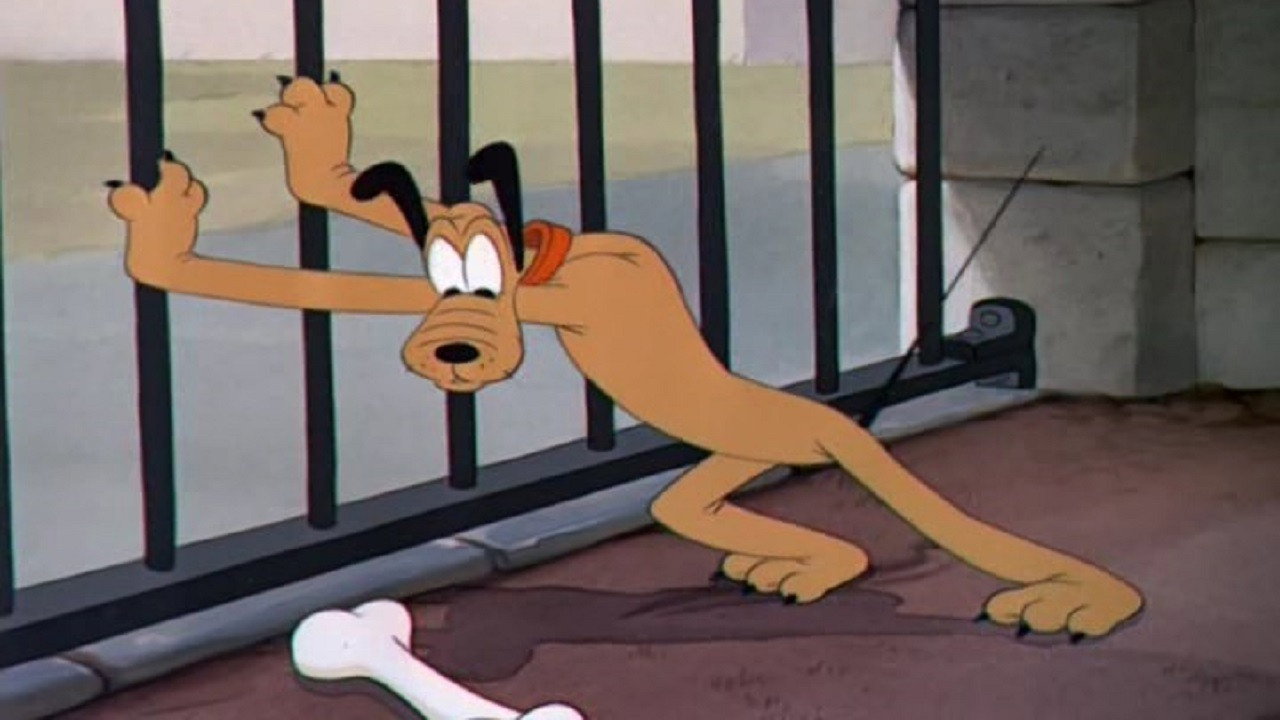 Pluto at the Zoo's poster