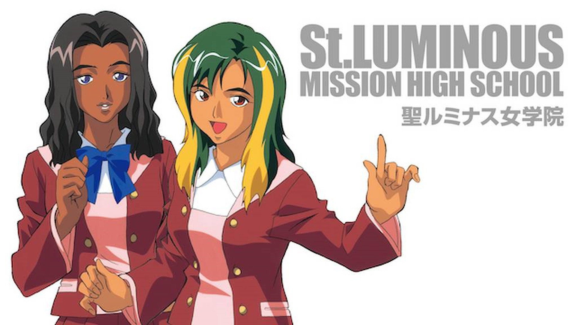St. Luminous Mission High School's poster