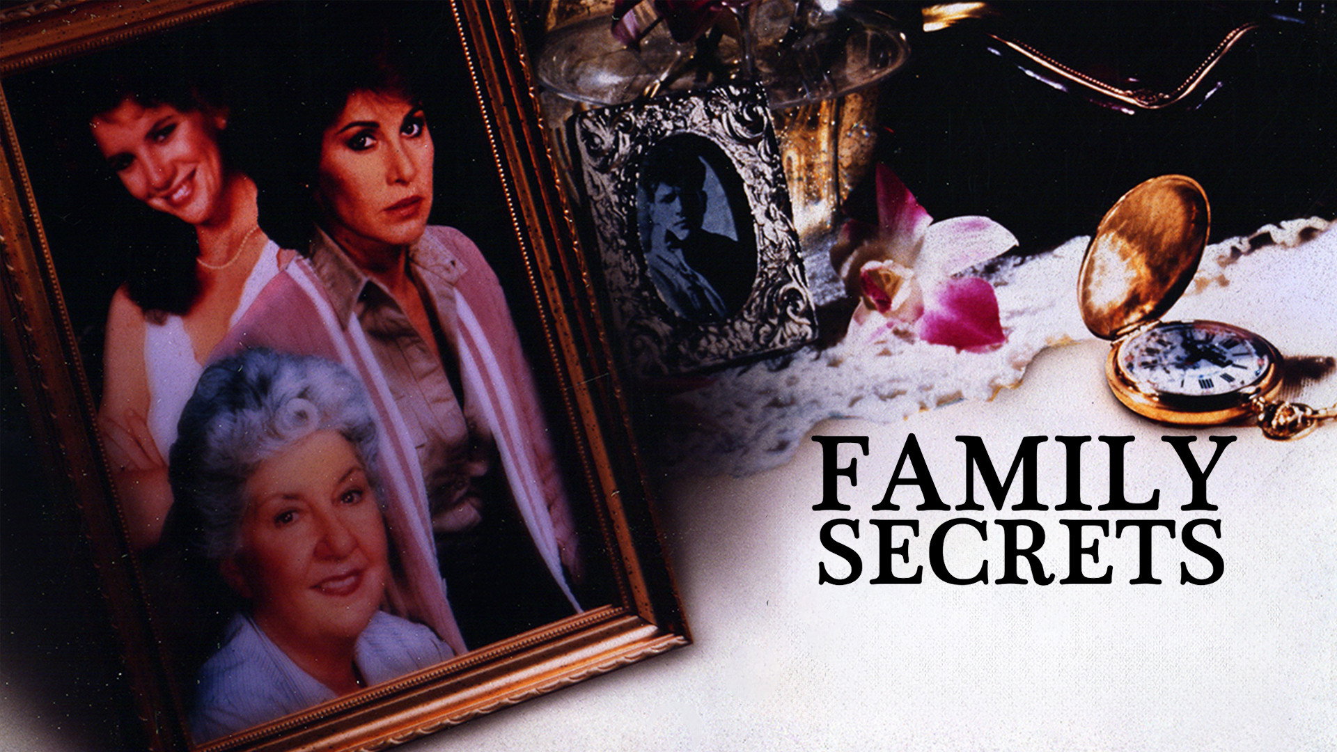 Family Secrets's poster