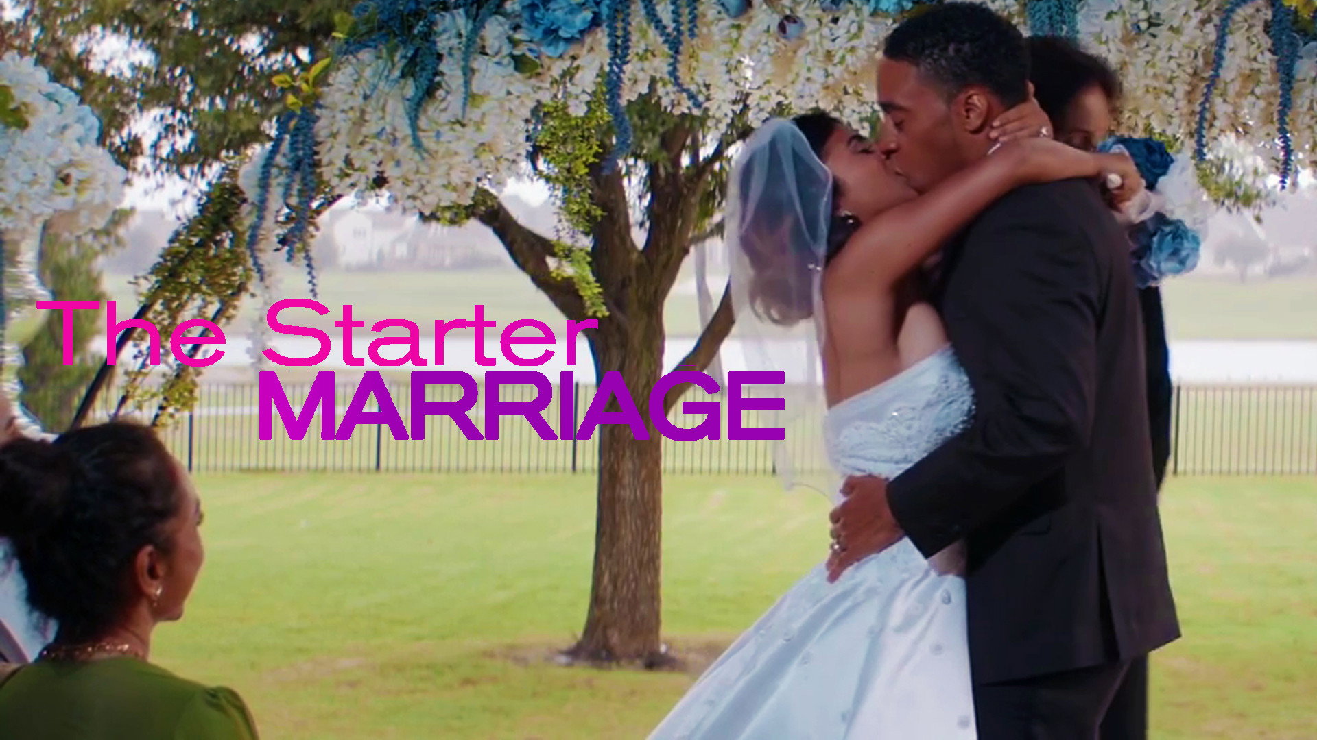 The Starter Marriage's poster