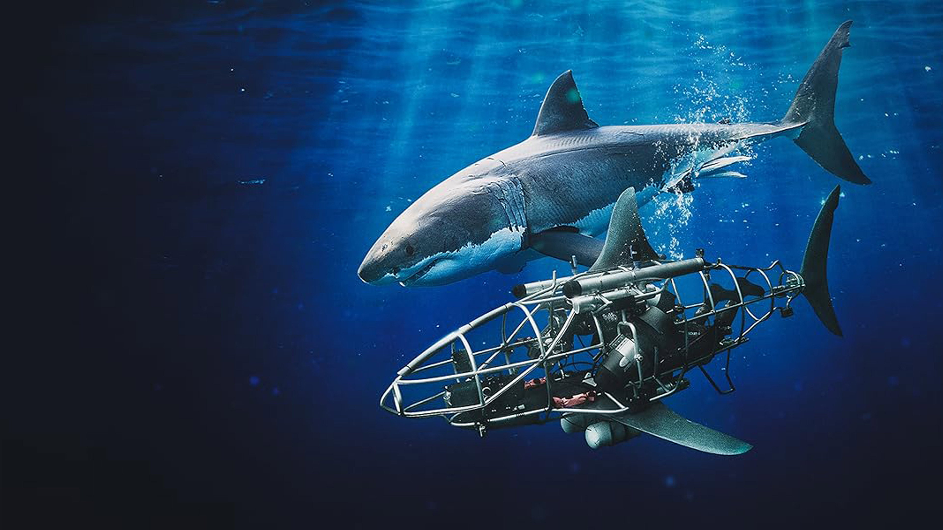 Mechashark Love Down Under's poster