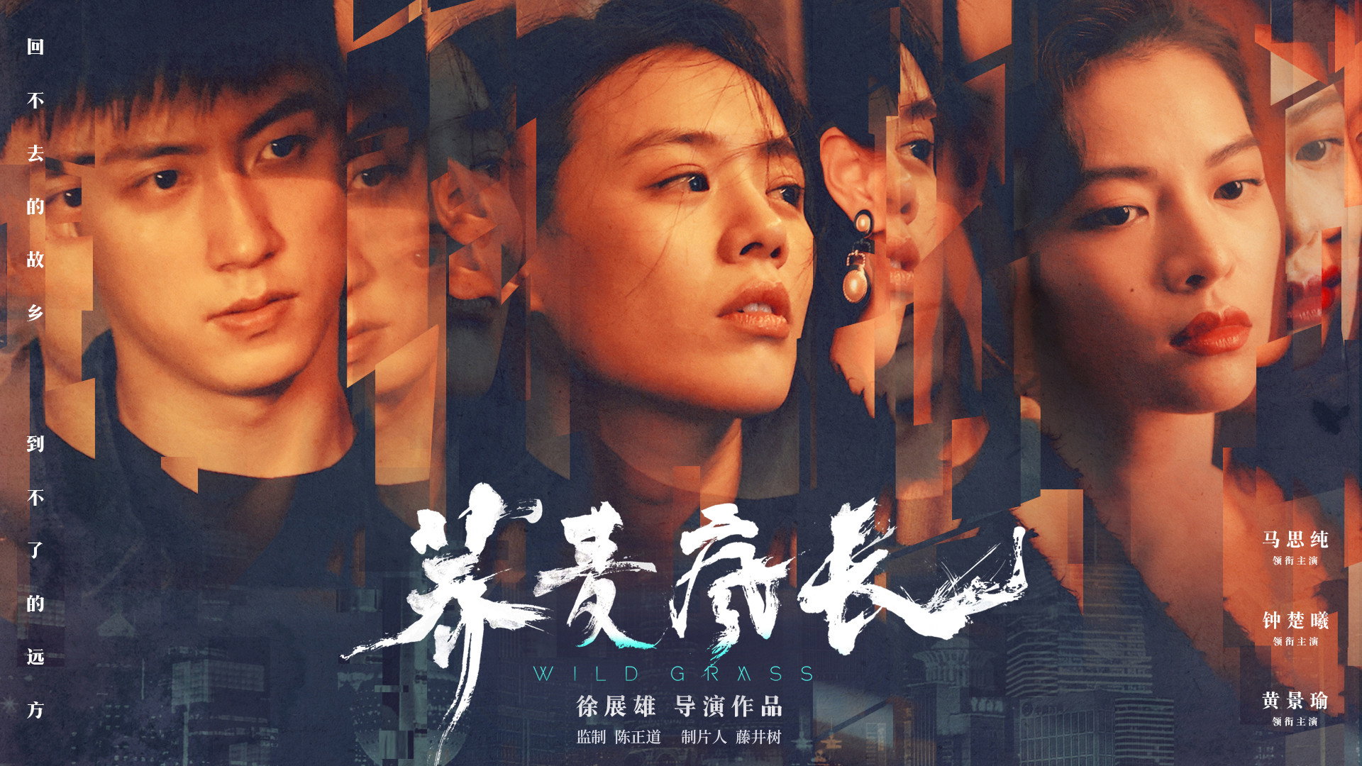 Wild Grass's poster