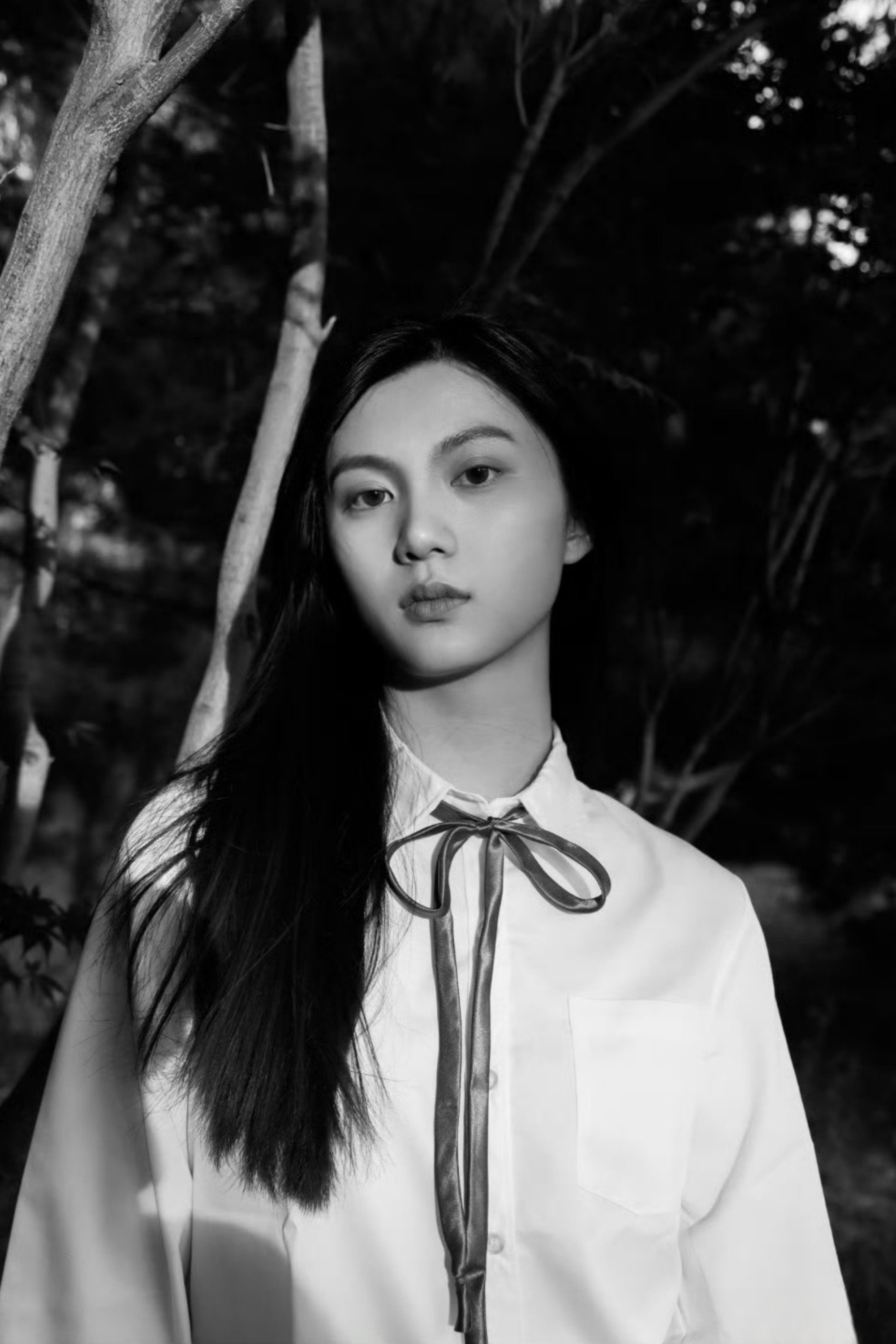 I-hsian Wangchen's poster