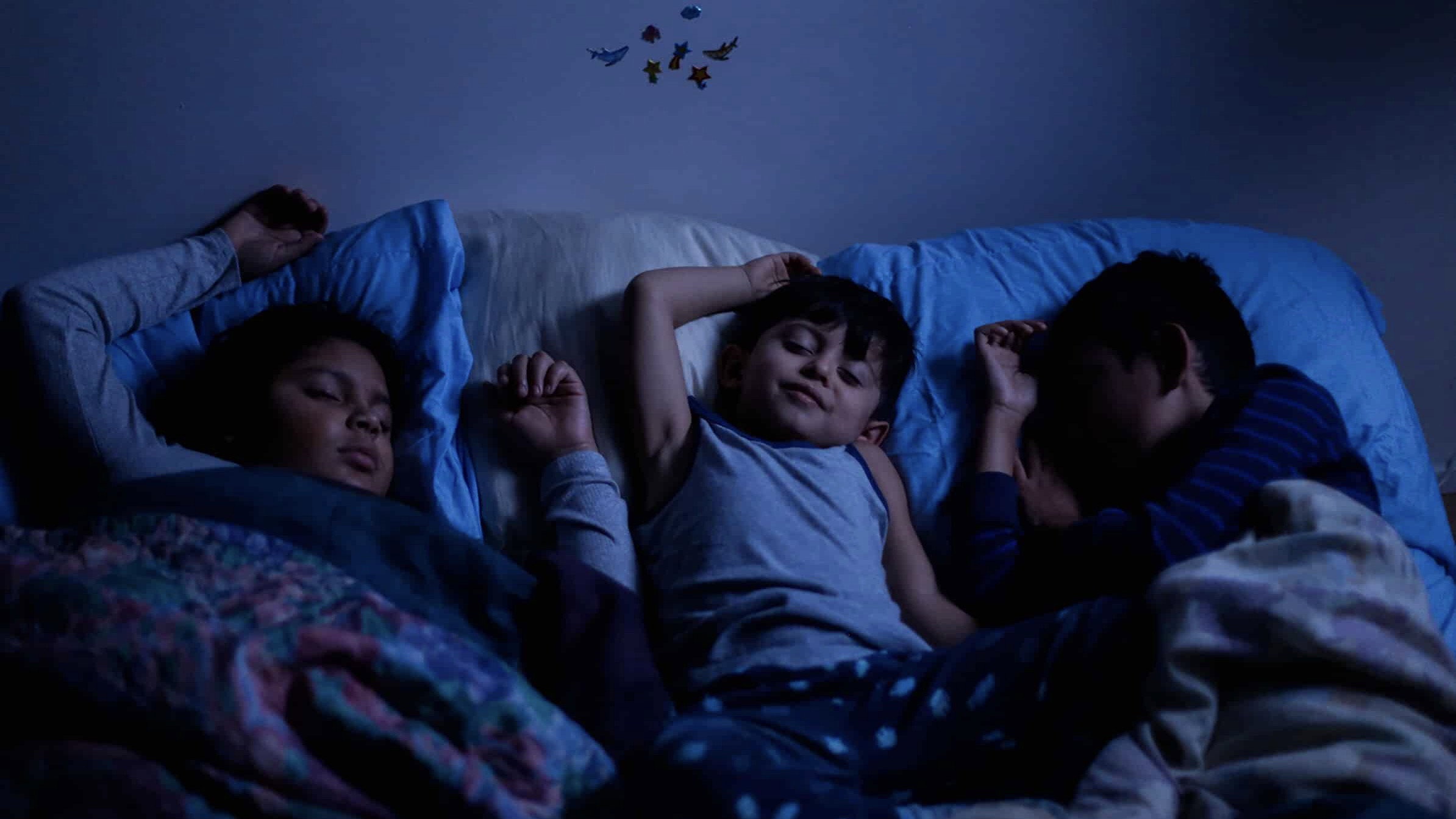 The Butterfly's poster