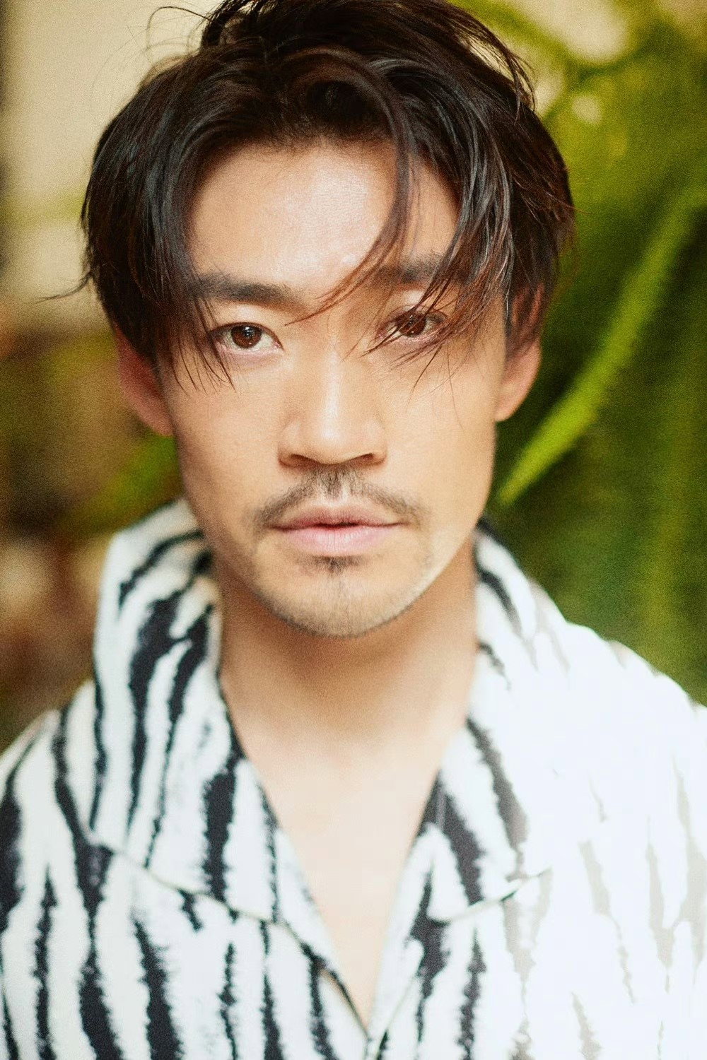 Li Donghe's poster