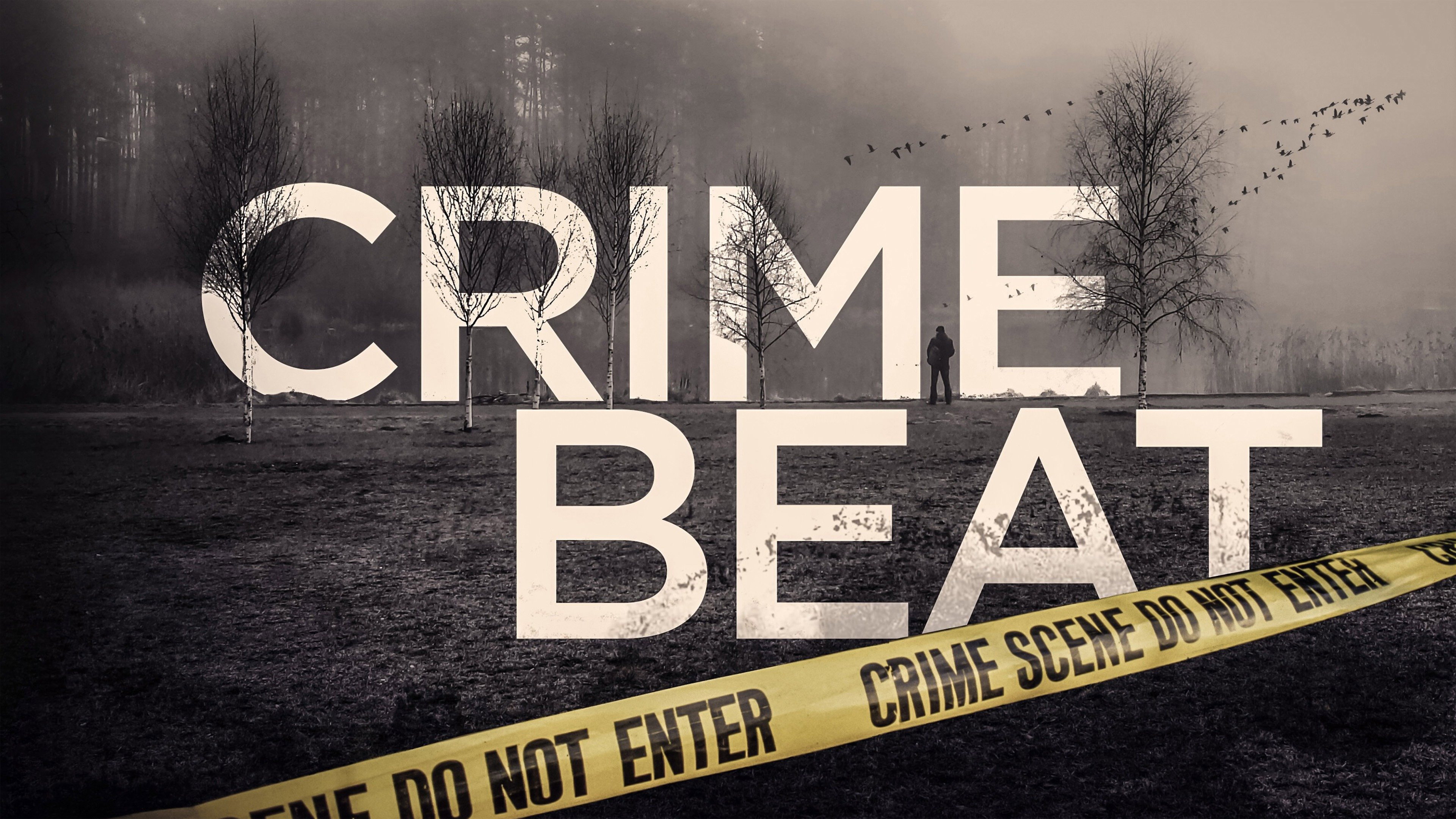 Crime Beat's poster