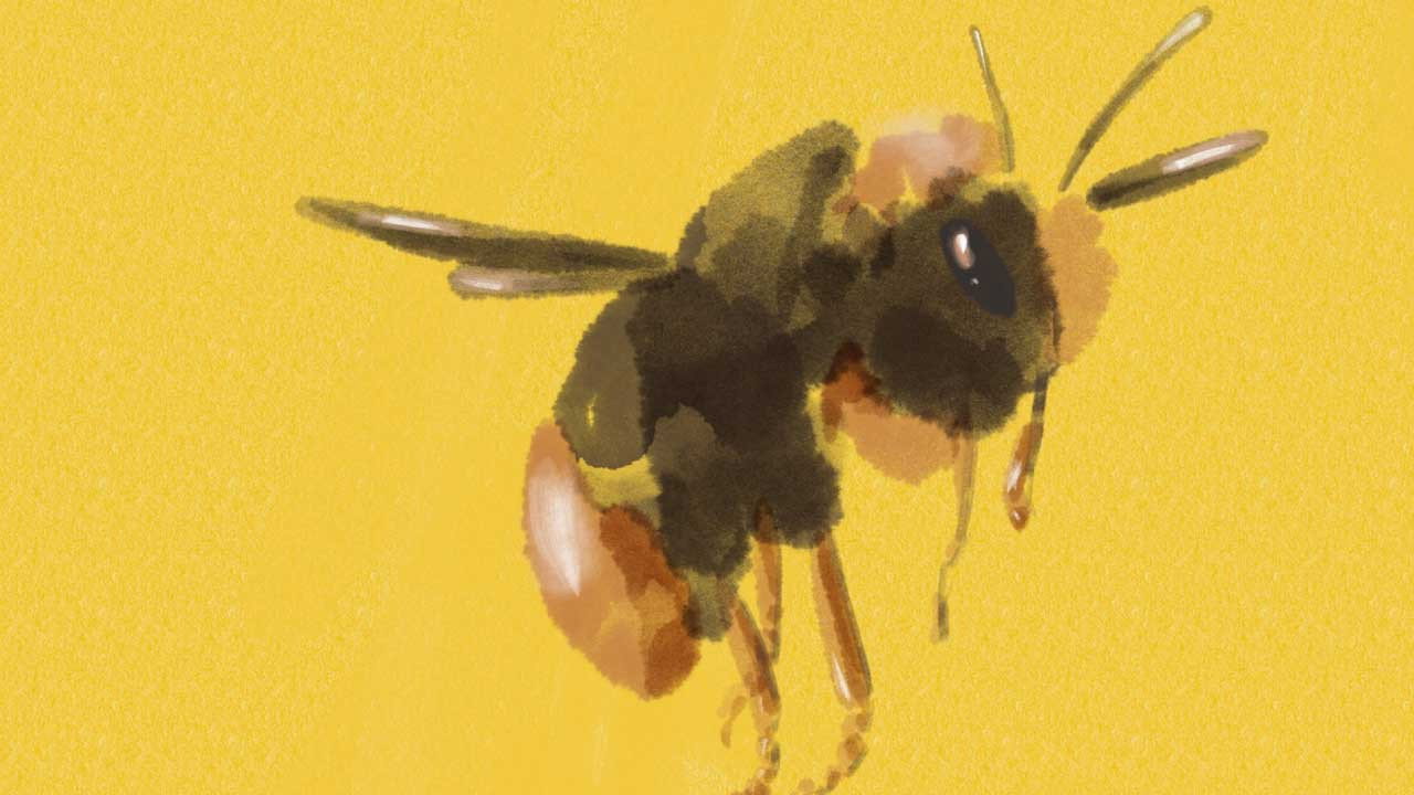Bumblebee's poster