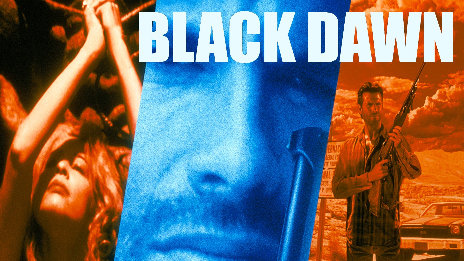 Black Dawn's poster
