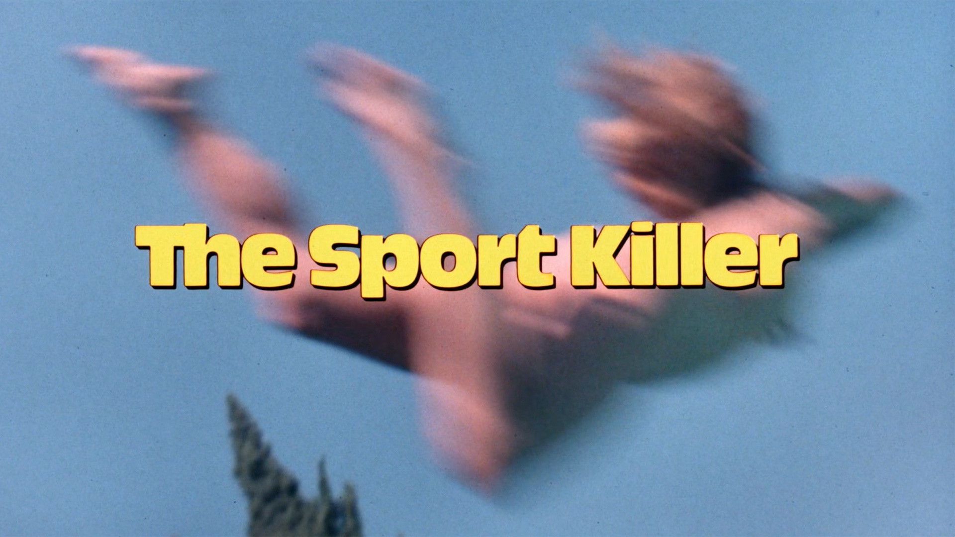Killer's Delight's poster