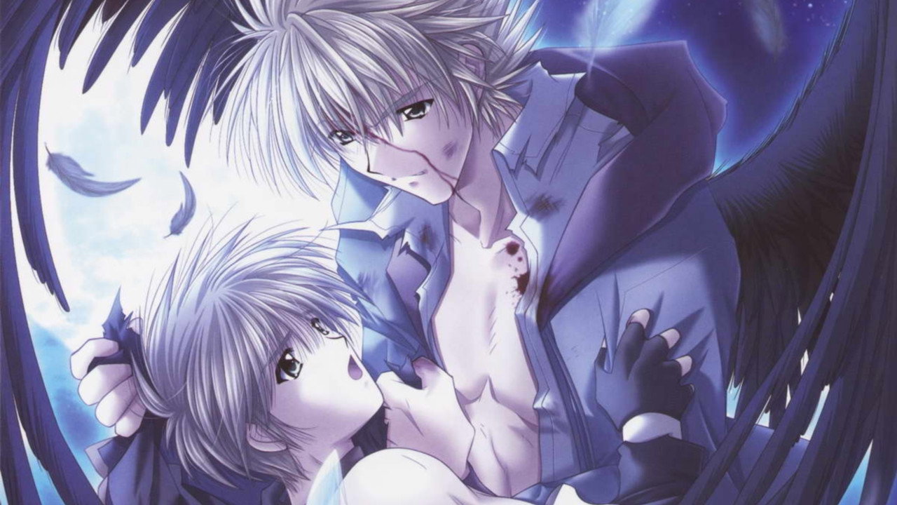 Angel's Feather's poster