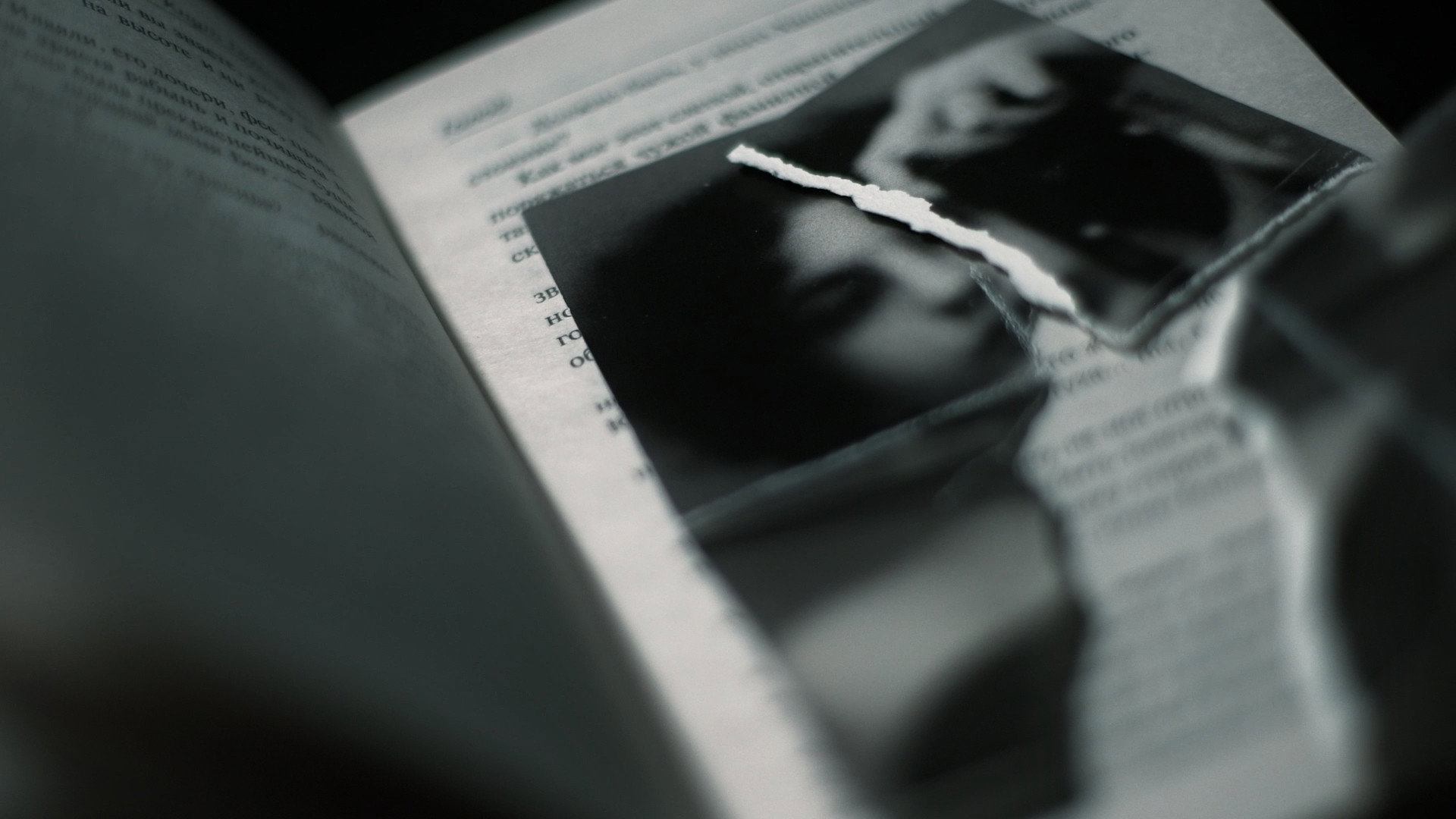 Hale's poster