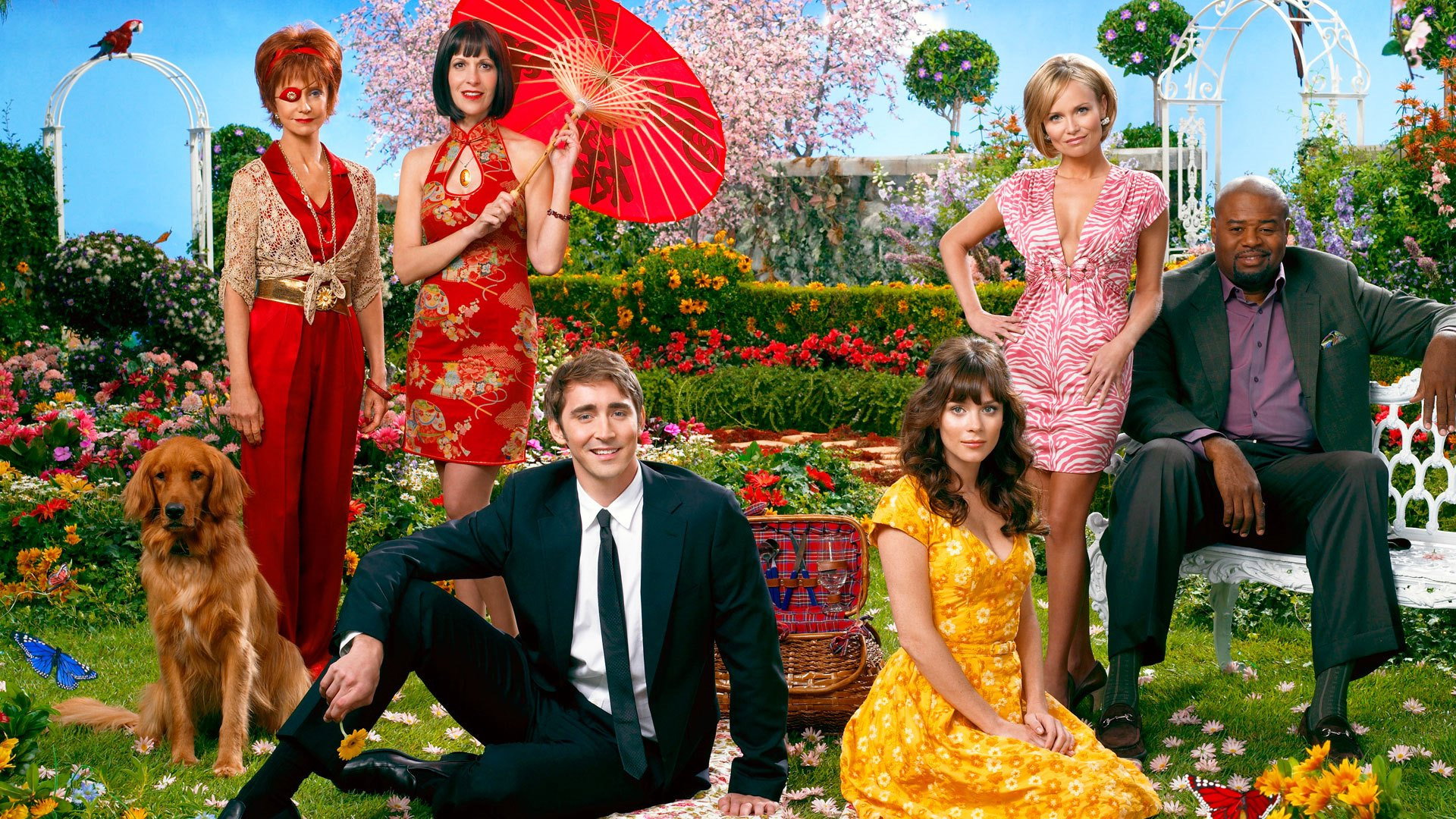 Pushing Daisies's poster