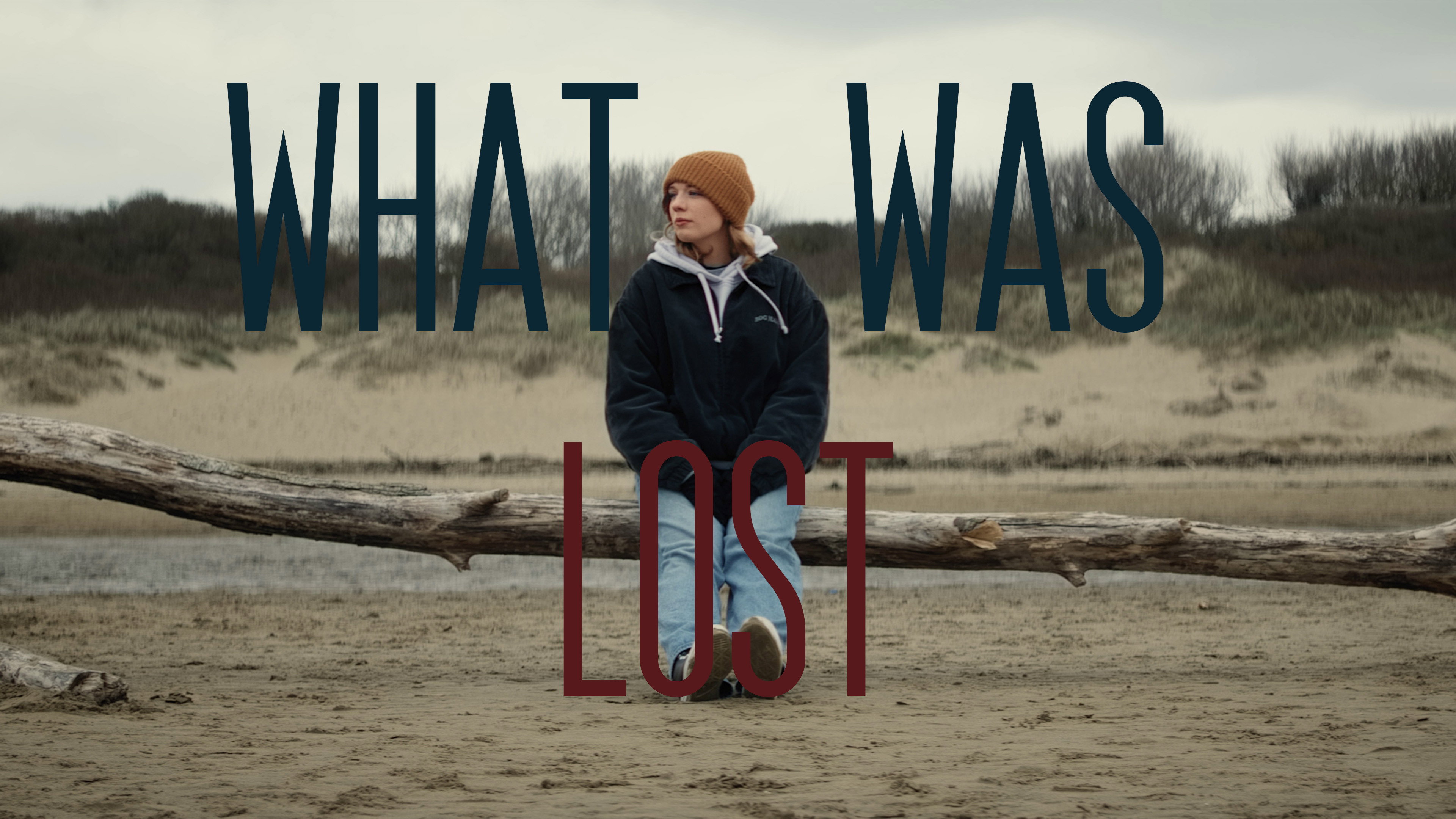 What Was Lost's poster