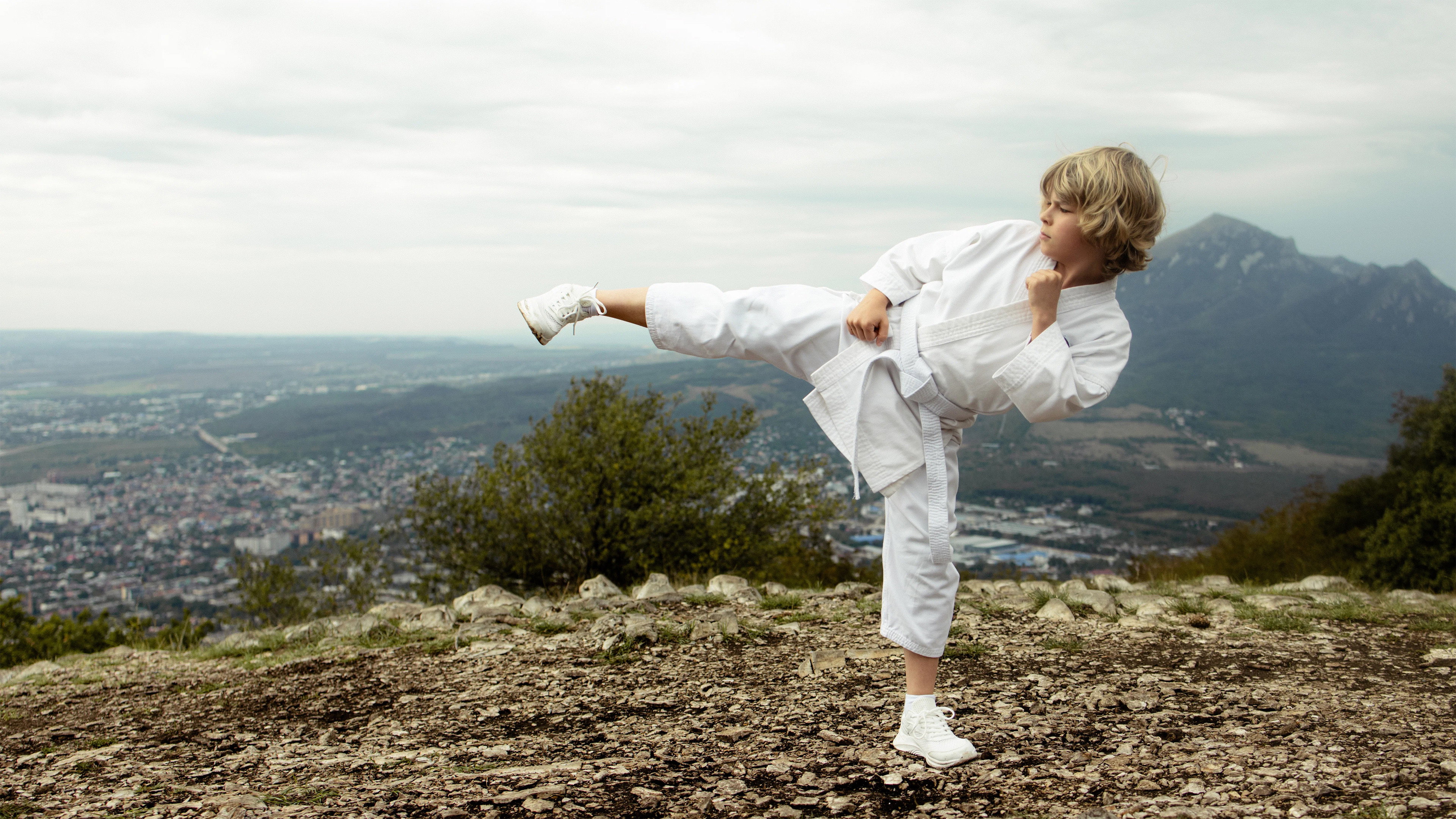 The Next Karate Kid's poster