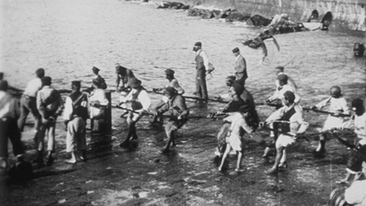 Levée de filets de pêche's poster