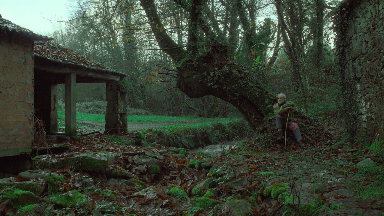 Under the Chestnut Tree's poster