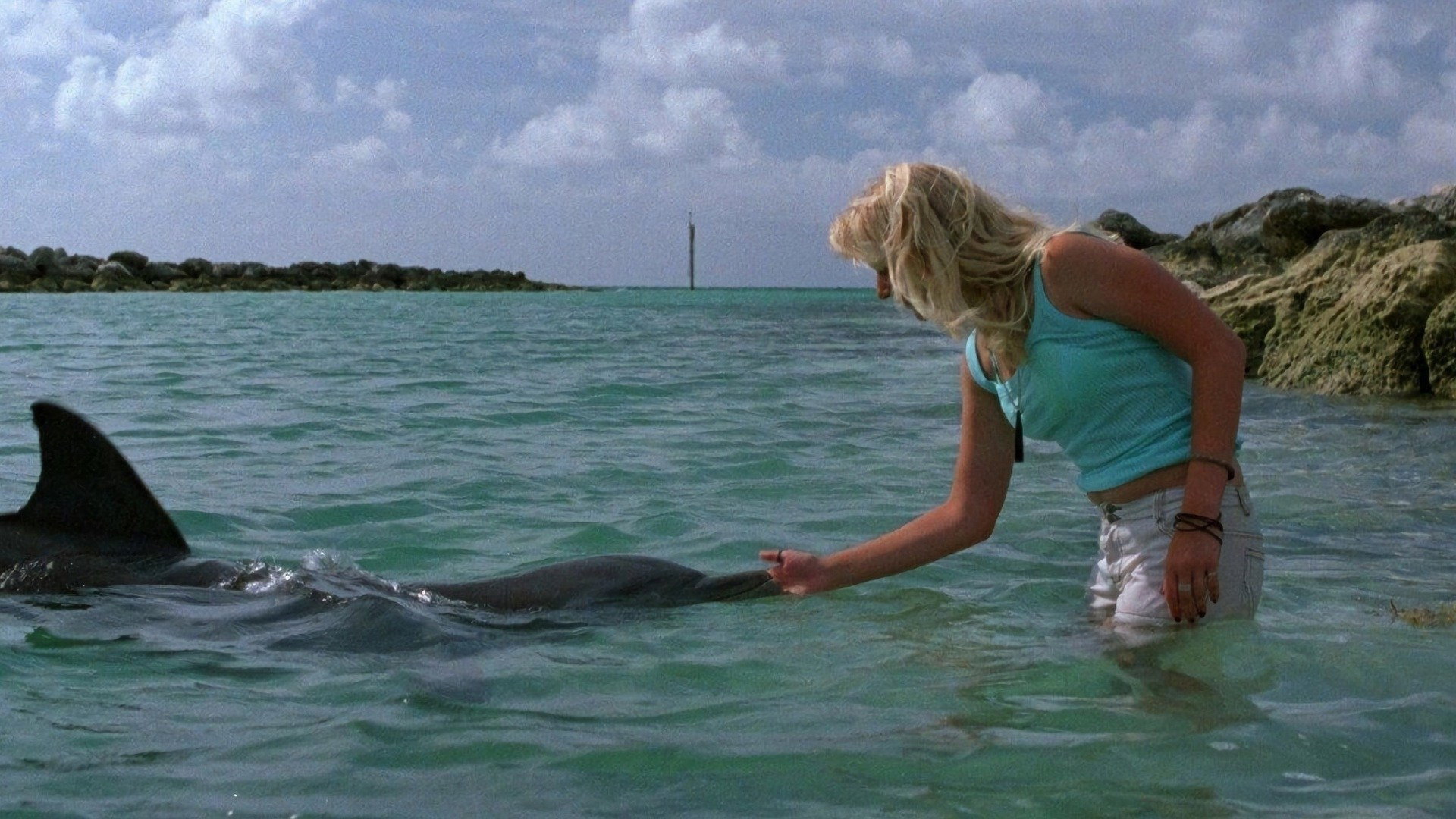 Eye of the Dolphin's poster
