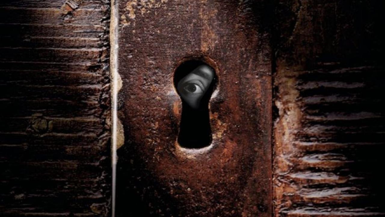 Playing Hide and Seek's poster