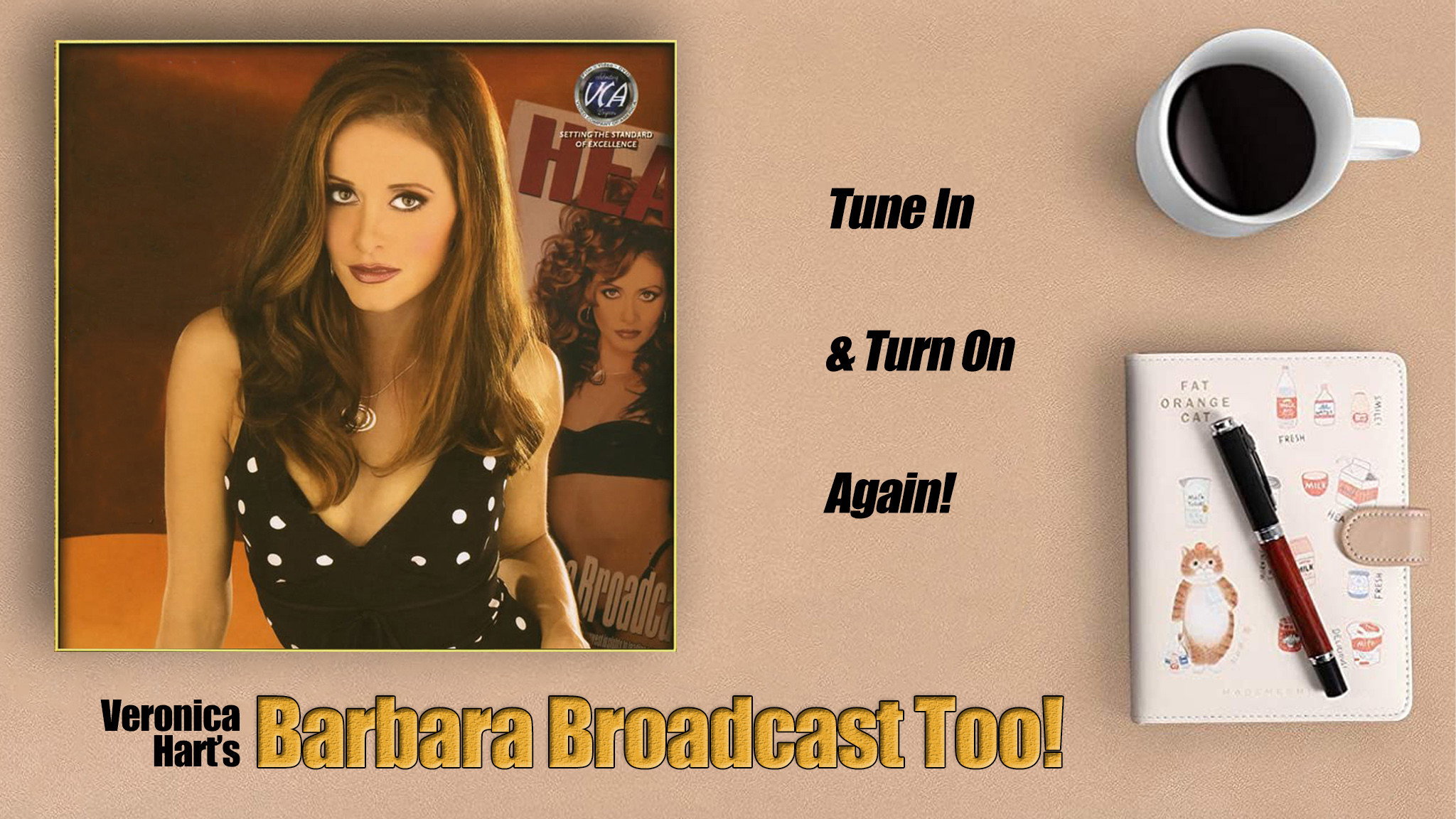 Barbara Broadcast Too!'s poster