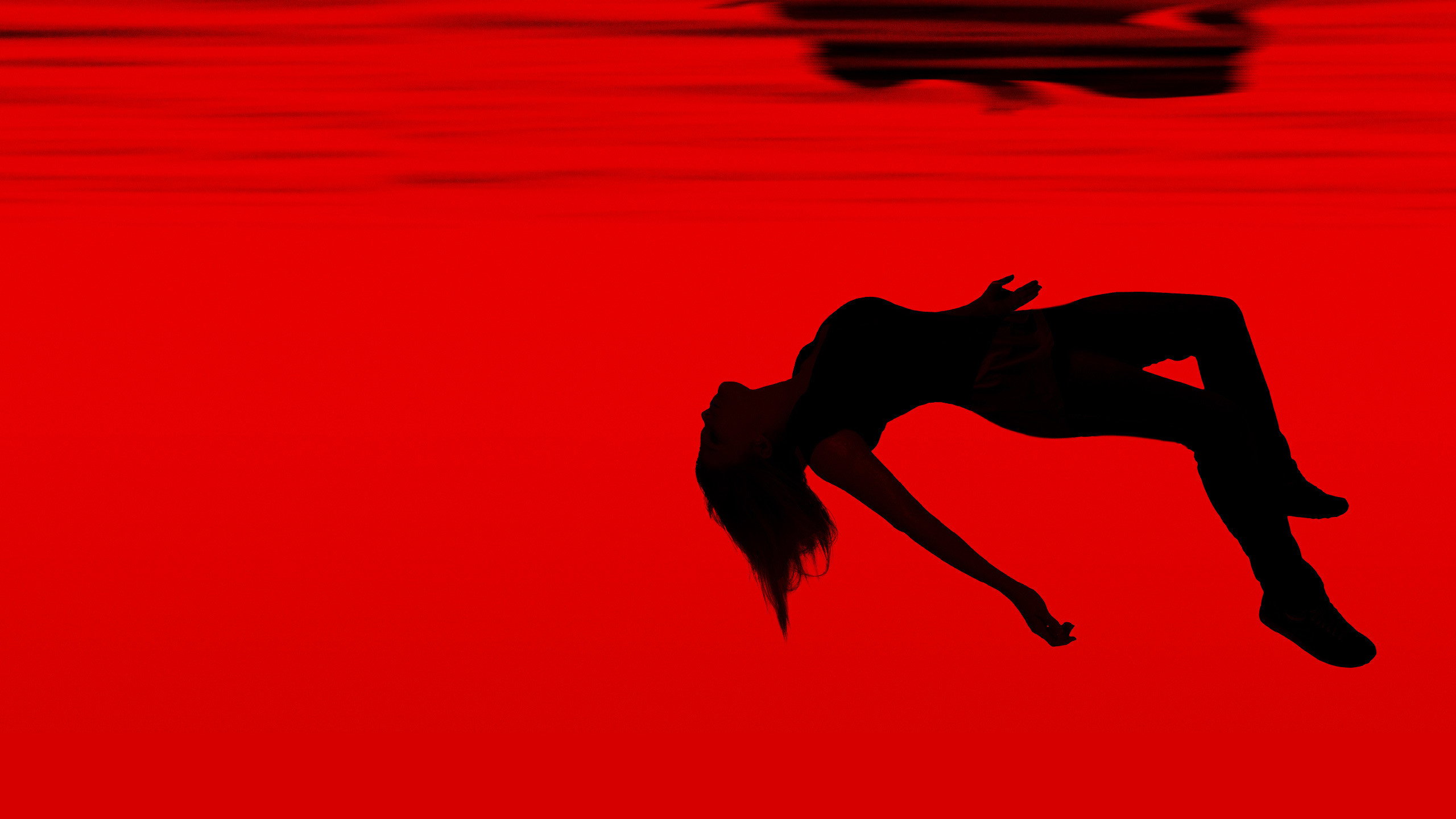 Falling Water's poster